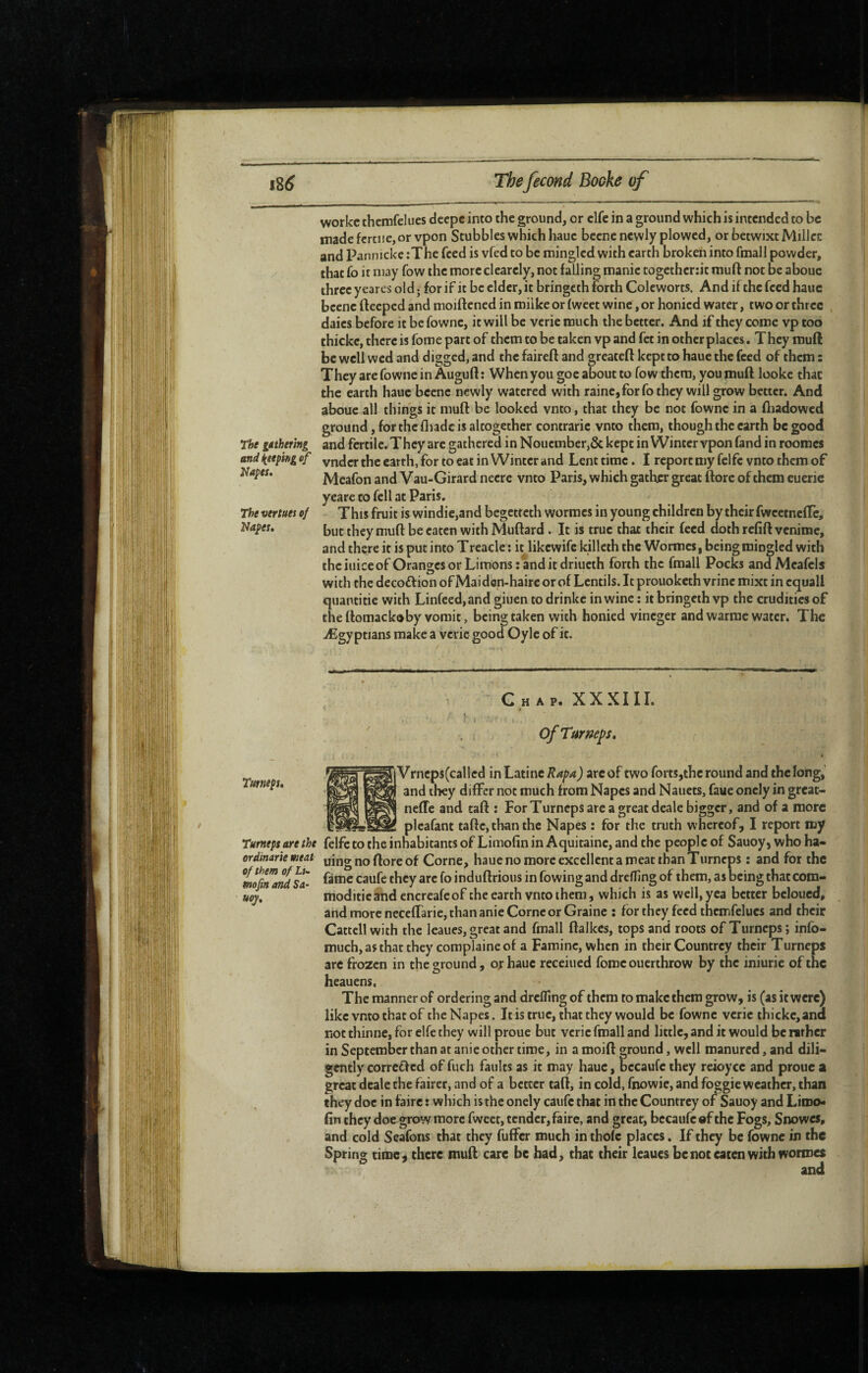 worke themfeliies deepc into the ground, or clfe in a ground which is intended to be made fera!e, or vpon Stubbles which haue bccne newly plowed, or betwixt MjIIcc and Pannicke :The feed is vfed to be mingled with earth broken into fmall powder, that fo it may fow the more clearely, not fading manic togethertit muff not be abouc three yeares old ; for if it be elder, it bringcth forth Coleworts. And if the feed haue bcene ftceped and moiftened in miike or fweet wine, or honied water, two or three , daies before it be fownc, it will be veric much the better. And if they come vp too thickc, there is fome part of them to be taken vp and fet in other places. They muft be well wed and digged, and the faireft and greateft kept to haue the feed of them : They are fowne in Augufl ; When you goc about to fow them, you muft lookc that the earth haue bccne newly watered with raine,forfo they will grow better. And abouc all things it muft be looked vnto, that they be not fownc in a ftiadowed ground, for the fliadc is altogether contrarie vnto them, though the earth be good rht gathering and fertile. They arc gathered in Noucmber,& kept in Winter vpon fand in roomes tnd peeping of the earth, for to eat in Winter and Lent time. I report my fclfc vnto them of Mcafon and Vau-Girard necrc vnto Paris, which gather great ftore of them euerie yeare to fell at Paris. This fruit is windie,and begetteth wormes in young children by their fwcetncftc, but they muft be eaten with Muftard. It is true that their feed dothrefift venime, and there it is put into Treacle : it likewifc killeth the Wormes, being mingled with thciuiceof Oranges or Limons: and it driucth forth the fmall Pocks andMcafcls with the decoff ion of Mai den-haire or of Lentils. It prouoketh vrinc mixt in cquall quantitie with Linfeed,and giuen to drinke in wine : it bringeth vp the crudities of the ftomackoby vomit, being taken with honied vineger and warme water. The Ægy ptians make a veric good Oyle of it. The vertues of Uapes, Turnepu féoy» Chap. XXXIII. OfTurneps» Vrncps(callcd in Latine Rapa) arc of two forts,the round and the long, and they differ not much from Napes and Nauets, faue oncly in great- neffe and taft : For Turneps are a great deale bigger, and of a more plcafant taftc, than the Napes : for the truth whereof, I report my Turneps are the felfc to the inhabitants of Limofin in Aquitaine, and the pcoplcof Sauoy,whoha- ordinariemeat uingnoftoreof Corne, haue no more excellent a meat than Turneps : and for the induftrious in fowing and drefling of them, as being that com- moditicatid encreafeof the earth vnto them, which is as well, yea better beloucd, and more neceffarie, than anie Corne or Graine : for they feed thcmfelucs and their Cattcll with the leaues, great and fmall ftalkcs, tops and roots of Turneps; info- much, as that they coraplaine of a Famine, when in their Countrey their Turneps arc frozen in the ground, or haue receiued fome ouerthrow by the iniurie of the heauens, The manner of ordering and drefling of them to make them grow, is (as it were) like vnto that of the Napes. It is true, that they would be fownc veric thickc,ana not thinne, for elfe they will proue but veric fmall and little, and it would be mrher in September than at anie other time, in a moift ground, well manured, and dili¬ gently correfted of fuch faults as it may haue, becaufc they reioyce and proue a great deale the fairer, and of a better taft, in cold, fnowic, and foggie weather, than they doc in faire : which is the onely caufc that in the Countrey of Sauoy and lAwo* fin they doe grow more fweet, tender,faire, and great, becaufc »f the Fogs, Snowes, and cold Seafons that they fuffer much in thofe places. If they be fowne in the Spring time, there muft care be had, that their leaues be not eaten with wormes and