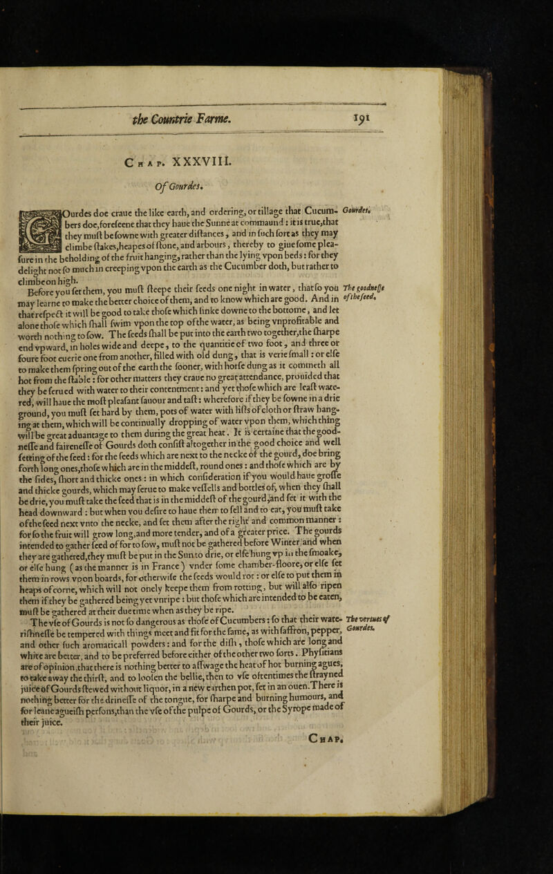 Chap. XXXVIII. Of Gourdes* lourdes doc crauc the like earth, and ordering, or tillage that Cucura- Gourâtù * bers doe,forefeene that they haue the Sunne at commaund : itis true,that they miift befowne with greater diftances, and in fuch fort as they may climbeftakcs,heapesolftone, and arbours, thereby to giuefomeplea- furc in rhe beholding of the fruit hanging, rather than the lying vpon beds : for they delight not fo much in creeping vpon the earth as the Cucumber doth, but rather to '^*Before”y^oufct them, you muft fteepc their feeds one night in water, thatfoyou ThtgocdntQt may learne to make the better choice of them, and to know which arc good. And in of the feed* thatrefpea: it will be good to take thofc which linke downe to the bottome, and let alone thofe which rhaU fwim vpon the top ofthe water, as being vnprofitabk and worth nothin^^ to fow. The feeds fhall be put into the earth two togcthcr,the fharpe endvpward in holes wide and deepe, to the quantiticof two foot, and three or fourc foot eucrie one from another, filled with old dung , that is verie fmall : or eîfc to make them fpring out of the earth the fooner, with horfe dung as it commeth all hot from the ftable Tfor ocher matters they craue no great attendance, prouided that the)^ be ferued with water to their contentment ; and yet thofe which are leaft wate¬ red, will haue the raoft pleafant faiiour and taft : wherefore if they be fowne in a dric ground, you muft fet hard by them, pots of water with Hfls of cloth or ftraw hang- in®’at them, which will be continually dropping of water vpon them, which thing will be oreat aduantage to them during the great heat, It is certaine that the «ood- ncfTean^ faireneffeof Gourds doth confift altogether in the good choice and well fettin^ofthe feed : for the feeds which are next to the ntckcbf the gourd, doe bring forth Ion® ones,thofe which are in the middeft, round ones : and thofe which are mr the fidcs, fhort and thicke ones : in which confideration if you would haue groue and thicke gourds, which may feruc to make veflells and bottles' of, when they foall be drie, you muft take the feed that is in the middeft of the gourd jànd fet it with the head downward : but when vou defirc to haue therr to fell and to eat, you muft take ofthc feed next vnto the necke, and fet them after the right' and common manner : for fo the fruit will grow long,and more tender, and of a greater price. Thegoimds intended to gather feed of for to fow, muft not be gathered before Wintcr:and when they are gathered,they muft be put in the Sun to drie, or elfe hung vp in the fmoake, or elfe hung (as the manner is in France) vnder fome chamber-floore,orelfc let them in rows vpon boards, for otherwife the feeds would rot : or elfc to put them in heaps ofcorne, which will not onely keepethem from rotting , but will alfo ripen them if they be gathered being yet vnripe ; but thofe which are intended to be eaten, muft be gathered at their due time when as they be ripe. ThevfcofGourds is not fo dangerous as thofe ofCucumbers:fo that thcirwatc- Tbevertuestf rifbnefte be tempered with things meet and fit for the fame, as withfaffron, peppe^ and other fuch aromaticall powders: and for the difli, thofe which arc long and white arc better, and to be preferred before cither of the other two forts. Pbyfitians areofopinion,thac there is nothing better to affwagetheheatofhot burnir^aguc^ to take away the thirft, and toloolentbc bcllie,thento vfc oftentimes the wayned juiefe of Gourds ftewed without liquor, in a ntw earthen pot, fet in an oucn.Thcrc if nothing better for the drineftc of the tongue, for fharpe and burning humours, and for Icanc agucifti pcrfons,than the vfe of the pulps of Gourds, or the Syropc roa c o their juice.