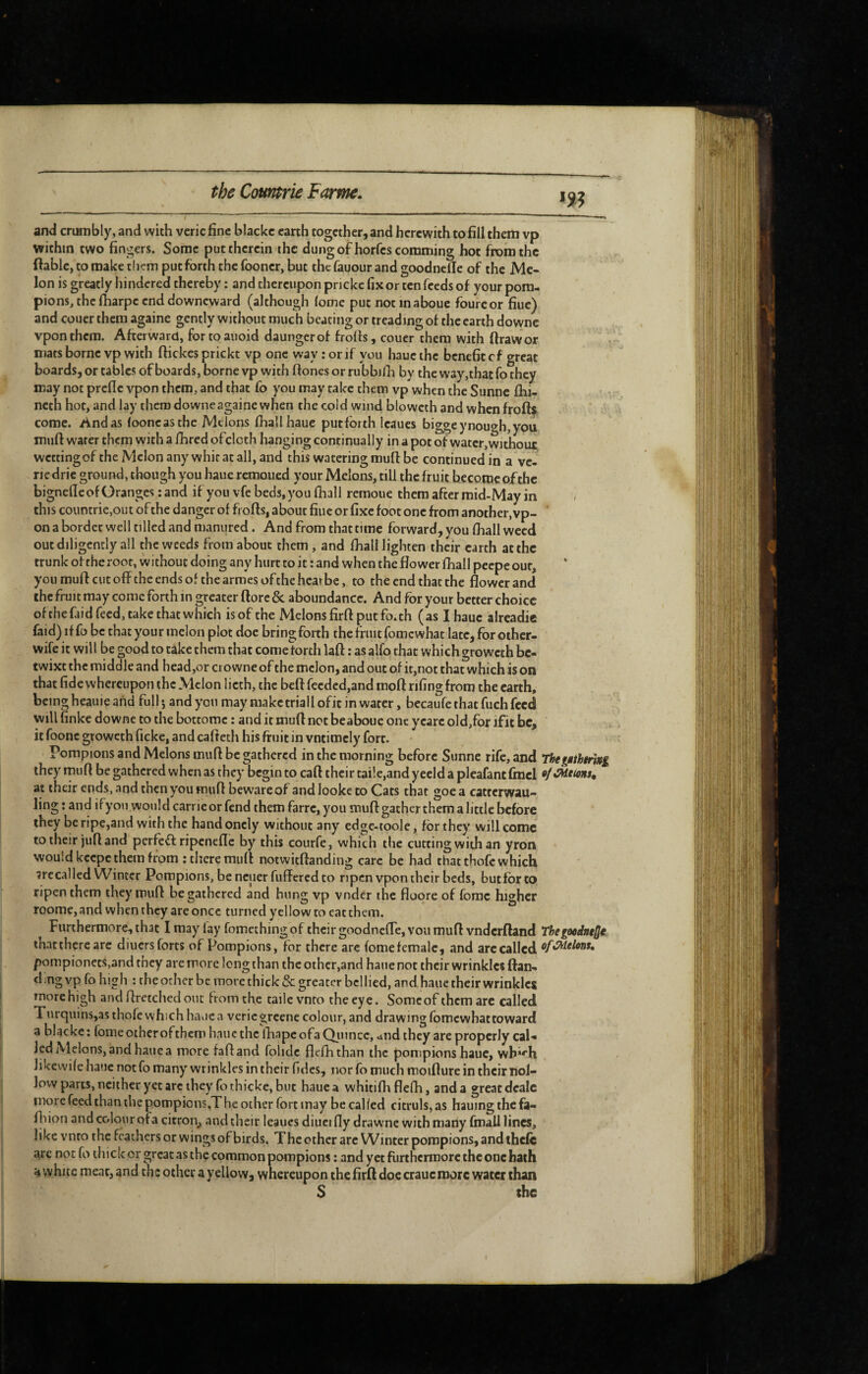 m and crumbly, and with vericfinc blackc earth together, and herewith to fill them vp within two fingers. Some put therein the dungof horfescomming hot from the ftable, to make them put forth the fooner, but the fauour and goodnefle of the Me¬ lon is greatly hindered thereby : and thereupon pneke fix or ten feeds of your pom¬ pions, the lharpe end downeward (although loDie put notinaboue fourcor fiue) and couer them againe gently without much beating or treading of the earth downc vponthem. Afterward, fortoauoid daungerot frofis, couer them with ftrawor mats borne vp with ffickes prickt vp one way : or if you hauethe benefit cf o-reat boards, or tables of boards, borne vp with ftones or rubbilli by the way,that fo they may not prefle vpon them, and that fo you may take them vp when the Sunne fhi- neth hot, and lay them downe againe when the cold wind blowcth and whcnfroft$ come, /indas (ooneasthe Melons fhallhaue putforth leaues biggeynough,you muff water them with a fhred ofclcth hanging continually in a pot of water, without wettingof the Melon any whit at all, and this watering mufl: be continued in a ve- riedric ground, though you haue remoued your Melons, till the fruit become of the bignefle of Granges: and if you vfe beds,you fhall remoue them after mi^May in / this countrie,out of the danger of frofts, about fiue or fixe foot one from another, vp- ’ on a border well tilled and manured. And from that time forward, you fhall weed out diligently all the weeds from about them, and fhall lighten their earth at the trunk of the root, without doing any hurt to it : and when the flower fhall peepe our, you muft cut off the ends of the armes ofthe hearbe, to the end that the flower and the fruit may come forth in greater flore & aboundancc. And for your better choice ofthefaid feed, take that which isof the Melons firfl put fo.th (as I haue alrcadie faid) iffo be that your melon plot doc bring forth the fruit fomewhat lace, for other- wife it will be good to take them that come forth lafl ; as alfo that which groweth be¬ twixt the middle and head,or cro wne of the melon, and out of it,not that which is on that fide whereupon the Melon 1 ieth, the beft fccded,and mofl rifing from the earth, being heauie aiid full j and you may make triall ofit in water, becaufe that fuch feed will finke downe to the bottomc : and it mufl net beaboue one ycarc old,for ifit be, it foonc groweth ficke, and cafteth his fruit in vntimely fort. Pompions and Melons mufl be gathered in the morning before Sunne rife, and ThegMthtrmg they rnuft be gathered when as they begin to cafl their tai!e,andyeclda pleafantfincl «/vWeidWM, at their ends, and then you mufl beware of andlooke to Cats that goea catrerwau- ling : and ifyou would carrieor fend them farre, you muft gather them a little before they be ripe,and with the handonely without any edgc-toole, for they will come to their juft and perfcfl ripenefle by this courfe, which the cutting with an yron would keepe them from : there mufl notwitftanding care be had that thofc which ^recalled Winter Pompions, be neuer fulfcrcd to ripen vpon their beds, butfbrto ripen them they mufl be gathered and bung vp vnder the floore of forac higher roome,and when they are once turned yellow to eat them. Furthermore, that I may lay fomethingof their goodnefle, voii mufl vndcrftand Thegoodne^t thatthcreare diuers forts of Pompions, for there are fomefemalc, and are called ofûdehnt, pompionets,and they are more long than the other,and haue not their wrinkles flan- d ;ng vp fo high : the other be more thick & greater bellied, and haue their wrinkles more high andflretchedoiit from the taile vnro the eye. Some of them are called Tiirquins,asthofe which haue a veriegreene colour, and drawing Ibmcwhattoward a blacke: fomeotherofthem hauethe lhapeofa Qiimcc, <4nd they are properly cal-» led Melons, and haue a more fafland folidc flcfhthan the pompions haue, wb*‘''h likcwile haue not fo many wrinkles in their fides, nor fo much moiflure in their tiol- low pans, neither yet arc they fo thickc, but haue a whitifli flefli, and a great dealc more feed than the pompions.The other fort may be called citruls, as hauingthefa- fliion and colour ofa citron^, and their leaues diucifly drawnc with many fmall lines, like vnro the feathers or wings of birds. Thcother arc Winter pompions, and thefc arc not fo thicker great as thç common pompions : and yet furthermore the one hath 4 white meat, and the other a yellow, whereupon the firfl doe crauc more water than S the I