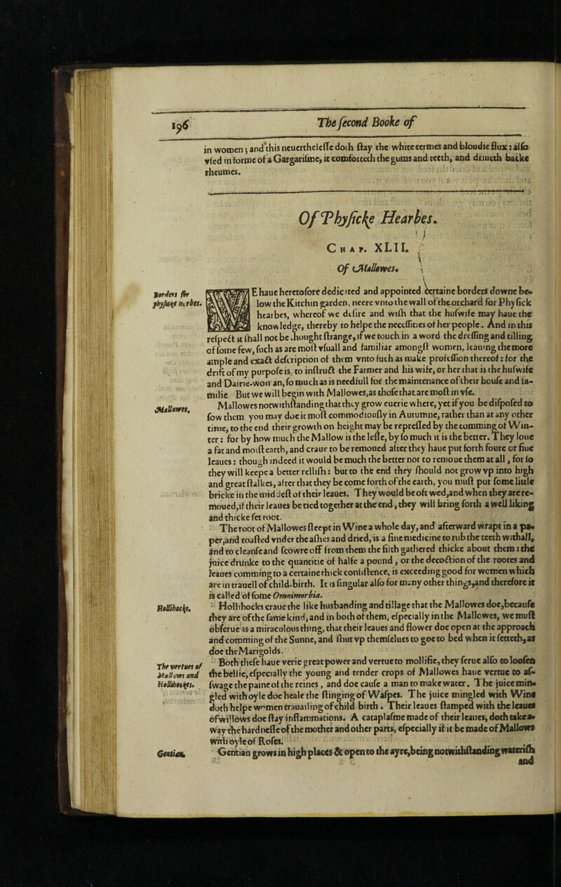 ’T, 1^6 The fécond Booke of in women j and this ncucrthelcffc doth ftay the whicctcrmcs and bloudic flux :aJlb Y(ed m forme o£ a Gargarifmc, ic comfotteth the gums and teeth, and dnueth backc rheumes, toniets fir fhy^ifjS If tries. . 'A BelUhodit, Thevertuesôf i^gUovfs and httUhnifs, Qentàntt OfThypeh^Hearhes. Chaj. xlii. . Of tJiUlkwesm \ \ ■. \ \ Ehaue heretofore dcdicitcd and appointed ^taine borders dovrnthc^ low thelCitchin garden, nccrc vnto the wall otthcorchafcl for PhyAck hcarbes, whereof we dtfire and wilh that the hufwifc mav hauc the ___ knowledge, thereby to helpe the neceflittes of her people. And in this refpea « Iball not be .bought ftrange, if we touch in a word the drtffing and tilling offoinefew,fuchasaremoftYfualland familiar amongft women, Itaumg the more ample and exaft deftription of them vnto fuch as make profeflion thereof : for the drift of my purpofc iS; to inftruft the Farmer and his wife, or her that is the hufwife and Dairie-won an, fo much as is needfull for the maintenance of their houfe and fa- milic. But we will begin with Mallowes.asthofcthataremoft in vfe. Mallowcsnocwithflandingthatthty grow cuerie where, yet if y ou bedirpofed to fow them you may doe it moft comroodioufly in Autumne, rather than at any other time, to the end their growth on height may be reprefled by the commingot Win¬ ter : for by how much the Mallow is the lefle, by fo much it is the better. They loue a fat and moift earth, and craue to be remoued after they haue put forth foure or flue Icaues : thou'^h indeed it would be much the better not to remoue them at all, for lo they will keepca better rellifh : but to the end they fhould not grow vp into high and great ftalkes, after that they be come forth of the earth, you miift put feme little bricke in the mid deft of their Icaues. They would be oft wed,and when they are re¬ moued,if their leaues be tied together at the end, they will bring forth a well liking and thickcfct root. ■ The root of Mallowcs fleept in Wine a whole day, and afterward wrapt in a pa* per,and roafted vndcrtheafhesand dried,» a finemcdicinc to rub the teeth withall, andtoclc^feand fcowreofF from them the filth gathered thickc about themtehtf yuicc drunke to the quantitic of halfe a pound, or the dccoffionof the rootes and Icaues comming to a certaine thick conhflence, is exceeding good for women which are in trauell of child-birth. Ic is fingular alfo for many other things^nd therefore it is called'of forac ' Hollihocks craue the like husbanding and tillage that the Mallowcs docjbecaufc they arc ofthc fame kind, and in both of them, cfpecially in the Mallowcs, werouft obferue as a miraculous thing, that their Icaues and flower doc open at the approach and comming of the Sunne, and fliut vp themfelucs to goc to bed when ic fettah^as doc the Mari golds. Both thefc haue vcric great power and vertue to mollific, they ferue alfo to loofcil the bdlici cfpecially the young and tender crops of Mallowcs hauc vertue co afi* fwage the paine of the reines, anddoccaufc a man to make water. The juiccmitl» glcd withoyle doc heale the flinging of Wafpes. The juice mingled with Wint doth hclpew''mcn trauailingofchild birth. Their leaues flamped with the lauct ofwillbws doc flay inflammations. A cataplafme made of their Icauetj doth cakca» Way the hard nefle of the mother and other part^ cfpecially if it be made of Mallows WithbykofRofes, Gentian grows in higjj places Sc open to the ayrc,bemg notwiihftanding wstenm ; o and