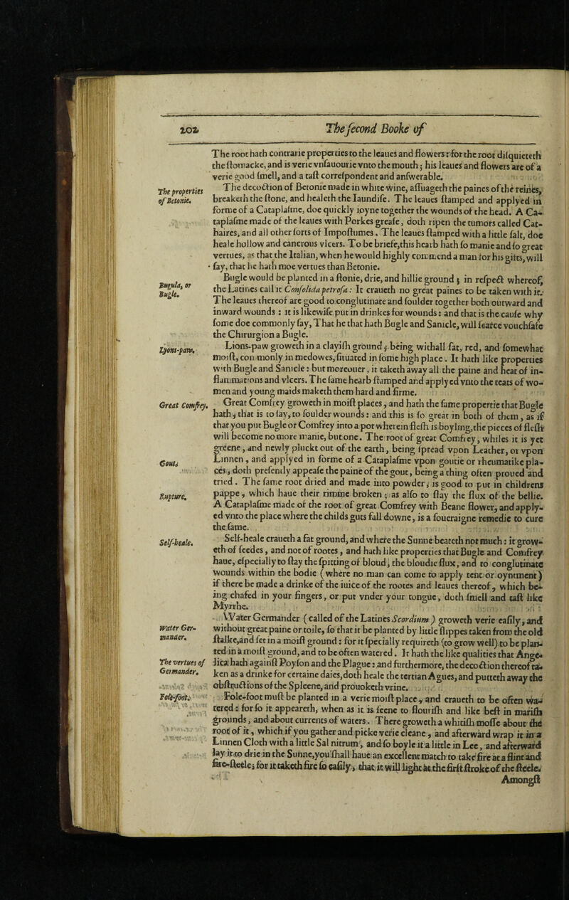 The properties ofSetonie, tugubf or Bugle, lyons-paw. Great Comfiey, Ceutd Rupture, Self-heale, water Ger- xnanaer. The vertues of Geimander, ’i The root hath contrarie properties to the Icaucs and flowers ; for the root dilquicteth the ftomacke, and is verie vnfauouric vnto the mouth ; his Icaucs and flowers arc of a vcric good (inell, and a taft correfpondent and anfwerable. The decoffion of Beronie made in white wine, aflhageth the paines of the reihcs, breakerhtheflone, andhealeththelaundife. Thcleaues ftamped and applyed in forme of a Cataplahnc, doe quickly loyne together the wounds of the head. A Ca- taplafrae made of the Icaucs with Porkes greale, doth ripen the tumors called Cat- haircs, and all other forts of Impoftumes. The leaues ftamped with a little fait, doc healc hollow and cancrous vicers. To be bricfe,this hcarb hath fo manic and fo threat vertues, as that the Italian, when he would highly commend a man for his gilts, will • fay, that he hath moe vertues than Betonie. Bugle would be planted in a ftonie, dric, and hillie ground 5 in refpeff whereof^ the Latines call It Confolidapetrofa: It craueth no great paines to be taken with it.* The Icaucs thereof arc good to conglutinate and fouldcr together both outward and inward wounds : it is likewife put in drinkes for wounds : and that is the caufc why fomc doe commonly fay, That he that hath Bugle and Saniclc, will feafee vouchfafe the Chirurgien a Bugle. Lions-paw groweth in a clayifh ground f being withall fat, red, and fomewhat moift,coii<monly inmedowcs,fituated in fomc high place. It hath like properties W'th Bugle and Samcle : but moreoiier, it taketh away all the painc and heat of in* fiammat’ons and vicers. The lamehearb ftamped and applyed vnto the teats of wo¬ men and young maids raaketh them hard and firme. Great Comfrey groweth in moift places, and hath the fame propertic that Buttle bath ^ that is to lay, to fouldcr wounds : and this is fo great in both of them, a?if that you put Bugle or Comfrey into a pot wherein flclh is boylmg,thc pieces of flefli will become no more manic, but one. The root of great Comficy, whiles it is yet grccnc, and newly pluckt out of the earth, being fpread vpon Leather, 01 vpon Linnen, and applyed in forme of a Cataplafme vpon goutic or rheumatike pla¬ cés, doth prcfencly appeafethepaineof thegout, being a thing often proued and tried . The fame root dried and made into powder / is ffood to put in childrens pappe, which haue their rimme broken ; !as alfo to ftay the flux of the bcllie. A Cataplafme made of the root of great Comfrey with Beane flower^ and apply¬ ed vnto the place where the childs guts fall downc, is a foueraigne remédie to cure thcfamc. = * Sclf-healc craueth a fat ground, and where the Sunne beateth not much : it grow¬ eth of feedes, and not of rootes, and hath like properties that Bugle and Coniffey haue, efpecially to ftay the fpitting of bloud ^ the bloudie flux, and to conglutinate wounds within the bodic (where no man can come to apply tent or oyntment) if there be made a drinkc of the iuice of the rootes and leaues thereof, which be* ing chafed in your fingers, or put vnder your tongue, doth fmcll and uft like Myrrhe. , ; . ., VVater Germander ( called of the Latines Scordium ) groweth vcric cafily, and without great painc or toile, fo that it be planted by little flippes taken from the old ftalke,and fet in a moift ground : for it fpecially requireth (to grow Well) to be plan¬ ted in à moift ground, and to be often watered. Ir hath the like qualities that Ange* Jicabach againft Poyfon and the Plague : and furthermore, the decoétion thereof ta¬ ken as a drinkc for certaine daies,doth healc the tertian Agues, and putceth away the cbfttuftions of the Splecnc, arid prduokcthvrinc, • ,;Folc-footmuft be planted in a verie moift place, and craueth to be often Wa^ tered : for fo it appearcth, when as it is fccne to flourifh and like beft in mafifb grounds, and about currents of waters. There groweth a whidfli mofle about thé root of it, which if you gather and pickc vefic cleane, and afterward wrap it in a Lmncn Cloth with a little Sal nitrum, and fo boylc it a little in Lee, and afterward lay mco dric in the Sunnc,you’fhall haue an excellent match to tafcefirc âta flintand teo-ftceles for it taketh fire fo cafily, that it will light àethcfirltftrokeof the ftcelc- *  N AmongjU