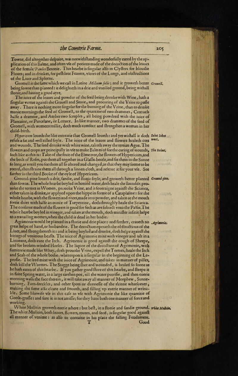 Towne, did altogether defpairc, was notwithftanding wonderfully cured by the ap¬ plication of this Balmc, and often vfe of potions made of the dccoftion of the leaues of the female T^iw/ifjBctonic. Thishcarbeis fingular alfo in Clyfters for bloudic Fluxes 5 and in drinkes, for pcftilcnt Feauers, vlcers of the Lungs, and obffrusions of the LiuerandSpleene. Gromell is the fame which we call in Latine Milium foils \ and it groweth better being fownc than planted : it delightcth in a drie and vnciiied ground, being withall ftonie,and hauing a good ayre. Theiuiceof the leaues and powder of thefecd being drunkc with Wincjhatha fingular verrue againlt the Grauell and Stone, and procuring of the Vrine to pafle away. There is nothing more fingular for the burning of the Vrine, than to drinkc manic mornings the feed of Gromell, to the quantiticof two drammes, Cetcrach halfe a dramme, and Amber two fcruples , all being powdred with the iuice of P]antaine,orPurcelane, or Lettuce. In like manner, two drammesofthc feed of Gromell, with womens miikc, doth much comfort and firengthen a woman in her child-birth. F^/>(?r/c‘/i'«zloueth the 1 ike entreatic that Gromell loueth; and yet withall it doth refufe a fat and well tilled foyle. The iuice of the leaues and flowers healcth cuts and wounds. The feed drunke with white wine, taketh away the tertian Ague. The flowers and crops arc principally in vfe to make Balmcs of for the curing of wounds, filch like as this is : Take of the fruit of the Elmc tree,the flowers of Hypericum,and the buds of Rofes, put them all together in a Glaflc-bottIc,and fet them in the Sunne fo long,as vntiil you lee them all Co altered and changed,as that they may feemeto be rotted, then ftraine them all through a linnen cloth, and rcleruc it for your vfe. Sec further in the third Booke of the oylc of Hypericum. . ' Ground-pine loueth a drie, fandic, and ftonic foyle, and groweth better planted than fownc. The whole hearbe boyled in honied water,doth hcale the Iaundilc,pro- uoke the termes in Women, prouokc Vrine, and is foueraigne againft the Sciatica, cither taken in drmkc,or applyed vpon the hippe in forme of a Cataplafme : for the whole hearbe, with the flowers and roots,made into powder, and taken at the mouth fbrrie daics with halfe an ounce of Turpentine, doth throughly healc the Sciatica. The conferue made of the fl jwers is good for fuch as are fubiedl vnto the Palfic.Thc whole hearbe boyled in vineger, and taken at the mouth, doth minifler infinit hclpc to a traiiailing women,when the child is dead in her bodie. Agrimonie would be planted in a ftonic and drie place : and further, craucth no great heipe of hand,or husbandric. The dccoftion opsneth the obltruffious of the Liucr, and ftrengthencth it : and it being boyled and drunkc, doth heipe againft the bitings of venimous beafls. The iuice of Agrimonie mixt with vineger and lalt in a Liniment, doth cure the Itch. Agrimonie is good againft the cough of Sheepe, and for broken-winded Horfes. The liquor of the deccftion of Agrimonie, wiifi fumitoric made like Wbay, doth prouoke Vrine, expcll the Termes, heale the Itch and Scab of the whole bodie ; whereupon it is fingular in the beginning of the Le- profie. The feed mixt with the iuice of Agrimonie, and taken in manner of pilles, doth kill the Wormes. The Scagge being foot and wounded, is healed lo fooneas he hath eaten of this hearbe. If you gather good ftore of this hearbe, and fteepe it in faire Spring water, in a large earthen pot, till the water putrifie, and then eucric . morning wafo the face therein, it will take away all manner of Morphew , Sunnc¬ hurning, Farn-frecklcs, and other fpots or dunnefle of the skinne whatfoeucr, making the fame alfo cleare and fmooth, and filling vp eucrie manner of wrinc- kle. Some likewife vfe in this cafe to vfe with Agrimonie the like quantifie of Goofc-gralTc : and fure it is not amifle; for they haue both one manner of forccand working. Whitc Mullein groweth eucrie where : but heft, in a ftonic and fandic ground. The white Mullein, both leaues, flowers, rootes, and feed, is fingular good againft all manner of venime : as alfo to containe in his place the falling Fundament* T Good CromtU, Saint lobm ,, wort. The Balme't Gmnd-^nt, .4grtmmie* I white MuStini