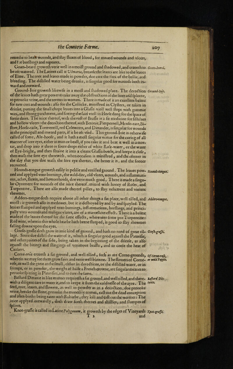 rcmcdie to Iicalfc wounds, and ilay fluxes ot bloud, for mward wounds and vlcers, and f x'r burfliiigs and ruptures. Goats-bcard growethvcric well in a moift ground and (badowed,and craucth to beoftwatered. The Latines call it bccauletheleauesare liketotheleaues of Elmc. The root and leaues made in powder, doe cure the tiux of the bellie, and bleeding. The diftillcd water being drunkc, is lingular good for wounds both in- waid and outward. Ground-Iuicgrowcth likewife in a moiftand fliadowcd place. The decoftion of the Icaues hath great power fo take away the obflruftions of the liucr and fplecnc, to prouoke vrine,and the termes in women. There is made of it an excellent balme for new cuts and wounds: alfo forthcCollicke, miniftred inClyfters, or taken in drinkc, putting the fmallchopt leaues into a Glaflc-violl well Uopt with o^ummic wax, and ftrong parchment, and fetting the faid viol I in Horfe dung for the (pace of fortiedaics. Theiuice thercofiwidi theruftof BralTe is a fit medicine forfillulacs and hollow vlcers : the decoflion thereof,with Betonie,Pimpcrnell,Moufc-care,Bi- ftort,Horfe-taile,Tormcntill,red Colcworts, and Dittander, is Angular for wounds in the principall and inward parts, if it be oft vfed. This ground-luic is otherwifc called of fome, Alc-hoofe, and it hathamofl: lingular vertue for the curing of all manner of lore eyes, either in man or beaft, if you take it and beat it well in a mor¬ tar, and drop into if three or fourc drops either of white Rofe-water, or the water of Eye-bright, and then ftrainc it into a cleane Glafle-bottle,and kecpeitclofc, then wafli the fore eye therewith, whenoccaAon is miniflred, and the oftencr in the day that you doc waAi the (ore eye therein, the better it is, and the fooner recouered. Hounds-tonguc groweth caAly in peblie and vntilled ground. The leaues pow- ned and applyed vnto burnings, the wild-Are, old vlcers, wounds, and inflammati¬ ons, aches, fluxes, and hemorrhoidsj^ doe verie much good. There is made a Angu¬ lar Oyntmert for wounds of the iiiicc thereof, mixed with honey of Rofes, and Turpentine. There are alfo made thereof pilles, to flay vehement and violent rhewroes. Adders-tonguc doth require aboue all other things a fat place, well tilled, and moift : it groweth alfo in medowes, but it is deftroyed by and by and fpoyled.Thc leaues flamped and applyed vnto burnings, inflammations, burftings, and princi¬ pally vhto wounds and maligne vlcers, are of a maruelibuseffeft. There is a balroc made of the leaues thereof for the fame effedfs, whereunto fome put Turpentine: Red wine, wherein this whole heaibe hath becneftceped, is good to flay rhewmes falling downevpon the eyes. • Goofc-grafle doth grow in anie kind of ground, and hath no need of great til¬ lage. Some doc difliiJ the water of it, which is Angular good againft the Plcurifie, and other paincs of the Ade, being taken in the beginning ofthc difeafe, as alfo againft the bitings and ftingings of yenimous beafls , and to coolc the heat of Cankers. Corne-rofe craueth a fat ground, and well tilled, fuch as arc Corne-grounds, wherein we may fee them grow faire and verie well blownc. The flowers of Cornc- rofe,aswell the great as the fmall, either in dcco£l:ions,or the diftillcd water, or in fyrrups, or in powder, the weight of halfc a French crowne, are Angular mcancs to prouoke fpitting in PleunAes,and to cure the lame. Baftard Dittamc in like manner requircth a fat ground,and well tilled,and there¬ with a diligent care to water it,and to kcepe it from the coldncflc of the ayre. The feed, root, Icaues, and flowers, as well in powder as in a decoflion, doe prouoke vrine, breake the ftone, prouoke the monetlily termes, caft out the dead conception' and after-birth : being eaten with Rubarbe, they kill and caft out the wormes ; The iuicc applyed outwardly, doth draw forth thorncs and ihiftles, and flumpesof fplints. ^ Knot-grafle is called in Latine Voljgomnt, it groweth by the edges of Vineyards 107 Goats~hwd, Gromi’lme. Hûunelf-tmgut. Addm^tongue, Of drni-rpfit ormldFipfie, Bsfifrd Vit* . tame. Kttot-grafei