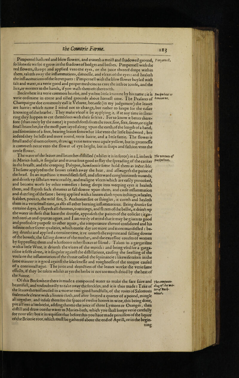 Pimpernel hath red and blew flowers, and craucth a moifl and Ibadowed ground, PmijenielU (o likcwife we fee it grow in the fliadows of hedges and bullies. Pimperncll with the red flowers, flanipt and applied vntothc eyes, or the juice thereof dropt within them, taketh away the inflammations, dinincllc, and vicers of the eyes : and healcth the inflammations ofthefccrct parts : Pimpernell with the blew flower boylcd with fait and water,is a vcric good and proper medicine to cure the uch or Iciirfc, and the lice,orwormes in the hands, if you wafli them oft therewith. Buckwheat is a verie common hc.irbe, and yet but little knovvne by his name ; it is Buc{rphtai or verie ordinarie in corne and tilled grounds about haiucft time. The Peafantsof Champaigne doc commonly call it Vcluote, bccaufe(m my judgement) the Icaucs are hairie; which mmc I mind not to change, but rather to keepc for the eafier knowing of the hcarbe. They make vfeof it by ap plying it, if at any time in lliça- ring they happen to cut thcmfelues with their flckles. For to know it bctterthcrc- forc (than onely by the name) it putteth forth from the root,flue, flxe, feucn,or eic^ht fmall branchcs,for the moft part layed along vpon the earth,of the length ofa hand, andfometimeofa foot, bearing Icaucs fomewhat iikcvnto the little bindweed , but indeed they belefleandmorc round, verie hairie, and a httlefattie. The flower is fmall and of diuers colours, drawing vcric neere vnto a pale yellow, but in greatneffe itcommethnecrevnto the flower of eyc-bright, butin fhapt and falihion vnto the nettle flower. The water of the leiues and branches d'lflillcd (whiles it is in force) in a Limbeck Thevertuet cf in Maries-bath, is Angular and inaruailous good toflay the fpreading of the canker in the breafts, and the creeping Polypus, howfoeucr fome hold them as iniurable. Thefameapplycdtothc brows taketh away the heat, and afTwageththepaincof the head. In an injeflion it mundifieth firfl, and afterward conglutinateth wounds, and dricth vp fiftulacs verie readily, and maligne vl cers which are eafily prouoked, and become worfe by other remedies : being dropt into weeping eyes it healcth them, and flaycth fuch rheumes as fall downe vpon them, and caufe inflammation and dazclingofthefame : being applied with a linnen cloth vpon itchings,whcalcs, feabbes, ppukes, the wild fire, S. Anthonies fire or fhingles, it curcth and healcth them in a verie fmall time,asalfo all other burning inflammations. Being drunkc for certaine dayes, it flaycth all rheumes,vomitings, and fluxes of the bcllie, it dricth vp the water in chofe that haue the dropfic, appeafeth the paines of the colicke :.it^u- rcth tertian and quartan agues, and I am verily of mind that it may be giuen to good and profitable purpofc to other agues, the temperature thereof confidered and his infinite other fccret qualities, which euerie day are more and more manifefted : be¬ ing drunke and applied a certaine time, it re uniterhtheruptureand falling downe of the bowels, the falling downe of the mother, and the exceffiue courfes of women by fupprefllng them and w hatfocuer ocher fluxes of Blciud . Taken in agargariftnc with a little Wine, it driucth the vicers of the mouth : and being vfed for a garga- rifine it fcife alone, it is Angular againfl: the difl:illations,caufing the fwclling of the vuula or the inflammation of the throat called the fquinancie ; likcwife taken in the fame manner it is good againft the blacknefle and roughnefleof the tongue caufed ofa continuai! ague. Thejuiceand dccoffionof the leaues workc the veriefame effets, if they be taken whiles as yet the herbe is not too much dried by the heat of the Sunne. Of this Buckwheatthcreismadea compound water to make the face faire and Tbecewpêuîh beautifuli,andvndoubtedIy to take away the freckles, and it is thus madc:Takcof dingofthewa- ihc leauesthcrcofbruifcd in a mortar two good handfiills, of the roots of Salomons fcale made clcane with a linnen cloth,and after brayed a quarter of a pound, mingle all together, and infufe them for the fpace of twelue houresin wine, this being done, putallinto a limbccke, adding thereto the juice of three Lymons or Oranges, then diftil! and draw oiicthc water in Marics-bath, which you flaall keepc vcric carefully for your vfc : but it is requifitc that before this you haue made prouifion of the liquor ^ ofthe Brionic root, which mufl: be gathered about the end of Aprill, or in the begin¬ ning