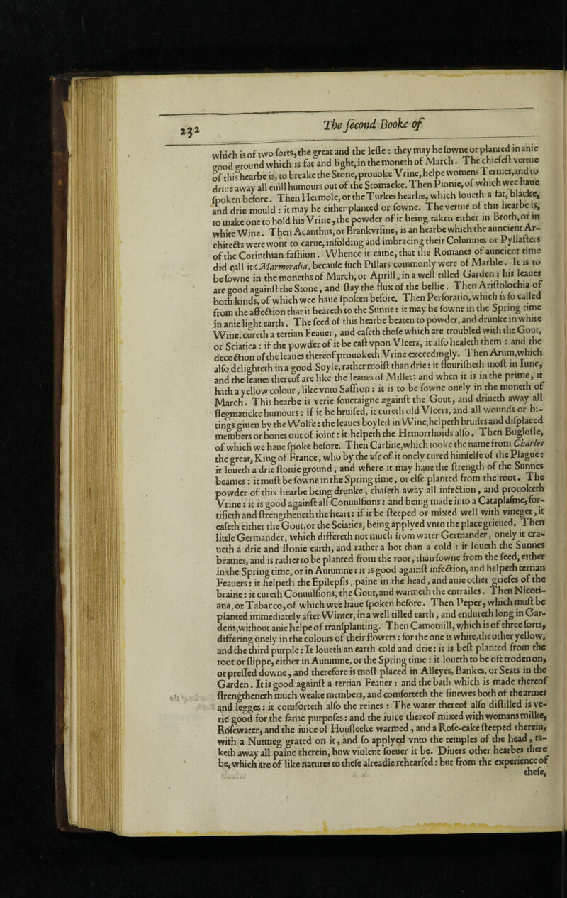 which is of two forts, the great and the Icffe : they may be fowne or planted in anic good eround which is fat and light, in the moneth of March. The chiefeft vcrtiic of this hearbe is, to breake the Stone, prouoke Vrine, helpc womens T crroes,and to driuc away all euill humours out of the Stomacke. Then Pionie, of wnich wee hauc fpoken before. Then Hermolc, or the Turkes hearbe, which loueth a tat, blackc, and drie mould ; it may be cither planted or fowne. The venue of this hearbe is, to make one to hold his Vrine,the powder of it being taken cither in Broth,orin white Wine. T hen Acanthus, or Brankvrfine, is an hearbe which the auncient Ar¬ chitects were wont to caruc, infolding and imbracing their Columnes or Pylialteis of the Corinthian fafhion. Whence it came, that the Romanes of auncicnt nme dtd call it CMarmordia, becaufc fuch Pillars commonly were of Marble. It is to befowne in the moneths of March, or Aprill, ina well tilled Garden ; his leaucs arc good againft the Stone, and flay the flux of the bcllie. Then Ariftolochia of both kinds, of which wee haue fpoken before. Then Perforatio, which is fo called from the affeaion that it beareth to the Sunne : it may be fowne in the Spring time in anie light earth. The feed of this hearbe beaten to powder, and drunke in white Wine, curcth a tertian Feauer, and eafeth thofe which are troubled with the Gout, or Sciatica : if the powder of it be caft vpon Vlccrs, it alfo healcth them : and the decoftion of the leaues thereof proiiokcth Vrinc exceedingly. Then Arum,which alfo delighteth in a good Soy le, rather moift than drie : it flourifheth moft in lune, and the leaucs thereof are like the leaues of Millet; and when it is in the prime, it hath a yellow colour, likevnto Saffron : it is to be fowne oncly in the moneth of March. This hearbe is verie foueraigne againft the Gout, and driueth away all fle«^raaticke humours; if it bebruifed, it cureth old Vlccrs, and all wounds or bi- tin?s giuen by the Wolfe : the leaucs boyled in Wine,helpeth bruifes and difpla^d members or bones out of ioint : it hclpcth the Hemorrhoids alfo. Then Bugloffc, of which we haue fpokc before. Then Carlinc,which tooke the name from Charles the o-rcat, King of France, who by the vfe of it onely cured hirafclfc of the Plague : it loueth a drie ftonie ground, and where it may haue the ftrength of the Sunnes Ijeames : itmuft be fowne in the Spring time, or elfe planted from the root. The powder of this hearbe being drunke, chafeth away all infeflion, and prouoketh Vrinc : it is good againft all Conuulfions : and being made into a Cataplafme,for- tificth and ftrengtheneth the heart; if it be fteeped or mixed well with vinc^r,ic eafeth either the Gout,or the Sciatica, being applycd vnto the place gricued. Then little Germander, which differeth not much from water Germander, onely it era- ucth a drie and ftonie earth, and rather a hot than a cold ; it loueth the Sunnes beames, and is rather to be planted from the root, than fowne from the feed, either in the Spring timCji or in Autumne ; it is good againft infection, and helpeth tertian Feauers ; it helpetli the Epilepfis, paine in the head, and anic ocher griefes of the braine ; it cureth C'onuulfions, the Gout, and warmeth the entrailes. Then Nirod- ana,or TabaccojC>f which wee haue fpoken before. Then Peper, whichmuft be planted immediately after Winter, ina well tilled earth, and endureth long in Gar¬ dens,without anie Ihelpe of tranfplanting. Then Camomill, which is of three forts, differing onely in the colours of their flowers ; for the one is whitc,the other yellow, and the third purple ; It loueth an earth cold and drie ; it is beft planted from the root or flippe, either in Autumne, or the Spring time ; it loueth to be oft troden on, or preffed downe, and therefore is moft placed in Alleyes, Bankes, or Seats in the Garden. It is good againft a tertian Feauer : and the bath which is made thereof ftrengtheneth much wcakc members, and comforteth the finewes both of the armes and legges; it com.forteth alfo the reines ; The water thereof alfo diftillcd isve- ric good for the fame purpofes; and the iuice thereof mixed with womans milke, Rofewatcr, and the iuice of Houflcckc warmed, and a Rofe-cake fteeped therein, with-a Nutmeg grated on it, and fo applyed vnto the temples of the head, ta- keth away all paine therein, how violent focuer it be. Diuers other, hearbes thertf be, which are of like natures to thefe alreadie rehearfed ; but from the experience of chefe,
