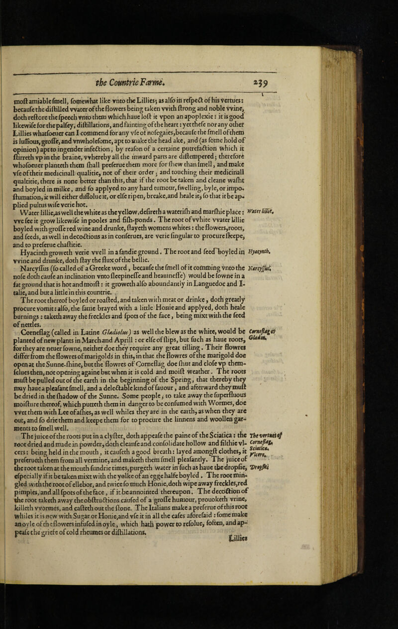 moft amiable fmcll, fomewhat like ynto the Lillies*, as alfôiürefpeCl of his Vertues; Il becaufe the diftilled water of the flowers being taken with ftrong and noble vvinc, doth reftore thefpeech vnto them which haue loft it vpon an apoplexie : it is good likewife for the palfey, diftillations, and fainting of the heart : yet thefe nor any other Lillies whatfoeuer can I commend for any vfe of nofegaics,becaufe the fmcll ofthem is luflious, grofle, and vnwholcfome, apt to make the head ake, and (as fome hold of ! opinion) apt to ingender infeftion, by reafon of a certaine putrefaftion '(A/hich it ftirreth vp in the braine, whereby all the inward parts are dittempcred ; thercfôrè ] whofoeuer planteth them fhall preferue them more for fhew than fmell, and make j vfc oftheir medicinall qualitic, not of their order j and touching their medicinall j qiialtitie, there is none better than this, that if the root be taken and clcanc wafhc and boyled in milke, and fo applyed to any hard tumour, fwelling, byle, or impo^ ftumation, k will cither diflblue it, or elfe ripen, brcake,and hcalc itj fo that it be ap¬ plied pultus wife verie hot. Water lillic,as well the white as the yellow,defireth a watcrifli and marfliie place : wattrüUié. we fee it growlikcwifc inpoolcs and fifti-ponds. The root of white water lillic boyled with grofle red wine and drunkc, ftaycth womens whites ; the flowers,roots, and feeds, as well in decoffious as in conferucs, are verie Angular to procure fleepe, and to preferue chaftitic. Hyacinth groweth verie well in a fandie ground. The root and fcedboyledin Hyaeynth, wine and drunke, doth ftay the flux of the bellie. Narcyfliis (fo called of a Grecke word, beeaafe the fmell of if cornming Vnto the NârcyJJkii f nofe doth caufc an inclination vnto fleepinefle and heauinefle) would be fownc in a fat ground that is hotandmoift : it groweth alfo aboundantly in Languedoc and I- talic,andbutalittlcmthiscountric. , The root thereof boyled or roafted, and taken with meat or drinkc , doth greatly procure vomit : alfo, the fame brayed with a little Honie and applyed, doth healc burnings ; taketh away the freckles and fpots of the face, being mixt with the feed of nettles. Corneflag (called in Latine GUàiolm) as well the blew as the white, would be planted ofnew plants in March and Aprill: or elfe of flips, but fuch as haue roots, i for they arc neucr fowne, neither doc they require any great tilling. Their flowrcl I differ from the flowres of marigolds in this, in that theflowres of the marigold doe open at thcSunnc.fhinc,butthc flowres of Corneflag docfhutandclofcvp them- felucs then, not opening againc but when it is cold and rooift Weather. Tne roots i muft be pulled out of the earth in the beginning of the Spring, that thereby they may haue a pleafant fmell, and a dclcftablckindoffauour, and afterward they muft [ be dried in thefhadow of the Sunne. Some people, to take away the fuperfluous \ moifturc thereof, which putteth them in danger to be confumed with Wormes, doc I vvet them with Lee ofafhes, as well whiles they are in the earth, as when they arc { out, and fo dric them and keepe them for to procure the linnens and woollen gar- I ments to fmcll well. . . ' ^ The juice of the roots put in a clyAcr, doth appeafe the painc of the Sciatica : the ThevtrtiMCf root dried and made in powder, doth cleanfe and confolidatc hollow and fllthic vl- I cers : being held in the mouth, it caufeth a good breath ; layed amongft clothes, it preferueth them from all vermine, and maketh them fmell pleafantly. The juiccof ! the root taken at the mouth fundric times, purgeth water in fuch as haue tbe dropfle, TrtyM I efpcciallyifitbctakcnmixtwiththeyolkeofancggehalfcboykd. Theroottfiih- ii glcd with the root of ellcbor, and twice fo much Honie, doth wipe away freckles,redi ' pimples, and all fpots of the face, if it bcannointed thereupon. The deco'ftion of the root taketh away the obftrudf ions caufed of a grofle humour, prouoketh yrinc, killcth wormes, and cafteth out the ftone. The Italians make a preferue ofthis root whiles it is new with Sugar or Honie,and vfc it in all the cafes aforefaid : fome make anoyleofcheflowcrsinfufedinoyle, which hath power to rcfoluc, foften, and ap¬ peafe t he grief c of cold rheumes or diftillations. 1,