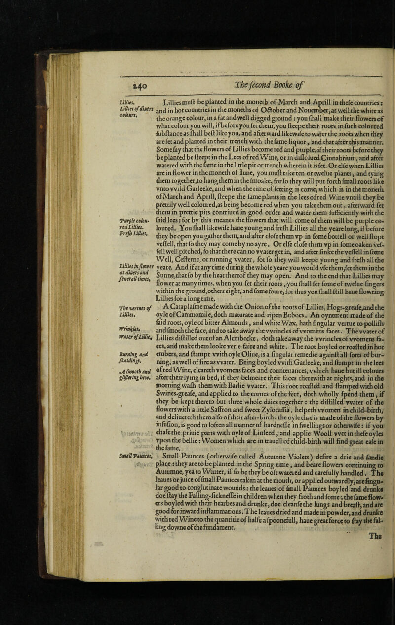 ^ 1 r «n . - - 1 ' — ^ Lilltes. Lillies niuft be planted in the monetb of March and Aprill in thefc countries : Lillies of dims j {jot countries in the moneths of Oftober and Nouember, as well the white as 60 OHTSt ^ orange colour, in a fat and well digged ground ; you (hall make their flowers of what colour you will, if before you fet them, you fteepe theif roots in.fuch coloured fubftance as ihall beft like you, and afterward likcwife to water the roots when they are fet and planted in their trench with the fame liquor, and that after this manner. Some fay that the flowers of Lillies become red and purple, if their roots before they be planted be fteept in the Lees of red Wine, or in diflolued Cinnabrium, and after watered with the fame in the little pit or trench wherein it is fet. Or elfe when Lillies are in flower in the moneth of lune, you rauft take ten ortwclüe plants, and tying them togcther,co hang them in the fmoake, for fo they will put forth fraall roots like vnto Wild Garleekc, and when the time of fetting is come, which is in the moneth of March and Apnll, fteepe the fame plants in the lees of red Wine vntill they be prettily well coloured,as being become red when you take them out, afterward fet them in prettie pits contriued in good order and water them fufficiently with the Tttrple eolou^ faid lees : for by this raeanes the flowers that will come of them will be purple co- redÜUies. loured. You fliall likewife haue young and frefh Lillies all the yearc long, if before Frejh uUies. y^^ gather them, and after clofe them vp in fome bottell or well ftopc vcffell, that fo they may come by no ayre. Or elfe clofe them vp in fome oaken vef- fell well pitched, fo that there can no water get in, and after finke the vcflell in fome Well, Cefternc, or running water, for fo they will keepe young and frefh all the tiUies hflower ycare. And if at any time during the whole yeare you would vfe them,fet them in the %eraUtimst Sunne,thatfo by the heat thereof they may open. And to the end that Lillies may * flower at many times, when you fet their roots, you fhall fet fome of twclue fingers within the ground,others eight, and fome fourc, tor thus you fhall ftill haue flowring Lillies for a long time. The vertm of A Cataplafme made with the Onion of the roots of Lillies, Hogs-greafc,and the units, oylc ofCanimomile, doth maturate and ripen Buboes. An oyntment made of the faid roots, oyle of bitter Almonds, and white Wax, hath Angular vertue to pollifh Wrm\ltu and fmoth the face, and to take away the vvrincles of womens faces. The water of water ofUUie, Lillies diftilled out of an Alembecke, doth take away the vvrinclcs of womens fa~ CCS, and make them looke verie faire and white. The root boyled or roafted in hoc and embers, and ftampt with oyle Oliue, is a lingular remédie againft all forts of bur- fcaldings. ning, as well office as water. Being boyled with Garleekc, and ftampt in the lees ^Afmooth and ofred Wine, clearcth womens faces and countenances, which haue but ill colours glifitring herv. after their lying in bed, if they befmeare their faces therewith at nights, and in the morning wafh them with Barlie water. This root roafted and ftamped with old Swincs-greafe, and applied to the cornes of the feet, doth wholly fpend them, if they be kept thereto but three whole daics together : the diftilled water of the flowers with a little Saftron and fwcet Zylocaflla, helpeth women in child-birth, and deliuereth them alfo oftheir after- birth : the oyle that is made of the flowers by infufion, is good to foften all manner of hardneftc in fwellings or otherwife : if you ‘ . . chafe the priuie parts with oyle of Linfecd, and applie Wooll wet in thefc oyles vpon the bcllic ; Women which arc in traucll of child-birth will find ffreat cafe in - the fame. SmaUTauneesi Small Paunccs (otherwife called Autumne Violets) defirc a drie and fandie ; -v .5, place ; they arc to be planted in the Spring time, and bcarc flowers continuity to Autumne, yea to Winter, if fo be they be oft watered and carefully handled, The leaues or juice of fraall Paunccs taken at the mouth, or applied outwardly, arefingu* lar good to conglutinatc wounds : the leaues of finall Paunccs boyled and drunk# doc ftay the Falling •fickneffe in children when they froth and fome ; the fame flow-' ers boyled with their hearbesand drunke,doc cleanfethe lungs andbreaft,andarc good for inward inflammations. The leaues dried and made in powder, and drunkc with red Wine to the quantitic of halfc a fpooncfull, haue grcatforce to ftay the fill- ling downe of the fundament. The
