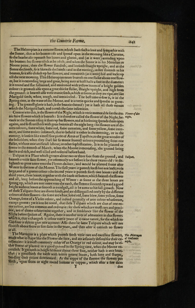 ^ ~— 'SiJ.lL The Helitropian is a certaine flower,which hath fuch a loue and fyinpathic with cheSunne, that as his beaines lifc and fpread open in the morning like a Curtaine, fothe hearbeallô opencth herlcauesand glories, and (as it were)attcndino-vpon his beames: hcr flower rifahas.herifech; and when the Sunne is in his Meridian or Noonepoint, then the flower flandeth, and lookcthftraight vpright; and as the Sunne declincth, fo it likewife decliricth ; and in the euening, as hce fhutteth in his beame8,fo italfo clofcth vp her flowers, and lemainah (as it were) hid and locktvp till the next morning. This Helitropian neucr bcareth on one flalkc abouc one flow¬ er, but it is exceeding large and great, being eucr at Icaft halfc a foot in the diameter; it is round and flat falhioned, and enuironed with yellow leaues of a bright golden colour; it groweth alfo vpon a great thickc flalke, ftraight vprighc, andihigh from the ground : it bcarcth alfo verie manie feeds,which as foone as they arc ripc,afe like Marigold feeds, white, rough, and lemicirclcd. The befl time to fow it, /s in the Spring time, at the wane of the Moone, and it is verie quickc and fpcedic in grow¬ ing. The greateft glorie it hath,is the bcautic thereof; yet it hath all thofc ^rtues which the Marigold hath, and cureth the fame infirmities. Contrarictothis,isthcflowcrofthcNight,whichisveriemcmorableforthcma- Tlowerofiht nie faire flowers which it bcarcth : It is therefore called the flower of the Ni^ht, be- caufc at the Sunnes rifing it lliuts vp her flowers,and at his fetting fpreads them open againe, and fo flouriflieth with great beautieall the night long ; his flowers arc of di¬ ners colours , feme white, feme red, fomc carnation, and fomc yellow, feme inter- mixt, and fomc entire; infomuch, that to behold it cither in the morning, or in the cucning, it lookes like a mofl: fine pieèc of ArraS of Tapiflric,to the great wonder of the beholders, when they fliall fee fo manic fcuerall colours proceed in» from one flalkc, without anie artificial! labour,'or other fophifti cation. It is tobe^lantcd or fownc in the moneth of March, when the Moortc is encreafing, the ground being fertile and rich, and well tilled and ordered before hand. Tulipan is a Plant which growes about two or three foot from the ground , and TuRfan, bcarcth a verie faire flower, yet cébmonly not before it be three yeares old ; it dc- lightcth to grow nccrevnto the Flower-de-luce, and would be planted foone after Winter in the new of the Moone. The firft ycarc it putteth forth but one Icafe,verie large,and of a greene colour ; the fécond yearc it putteth forth two leaues : ahd the third ycarc, three leaues, together with the knob or button,which bcareth the flower and all, long before the approaching of Winter ; as foone as the three leaues arc fprung vp, which arc cuer necre vnto the earth, the flemme fliootcth vpward agood height without leaues as fmooth as a cudgell, till it be come to his full growth. Now of thcfcTulipans there are diuers kinds,and are diflinguifiicd oncly by the diflefenc colours of their flowers: for feme arc white, fomé red, fome blew, fomc yellow, fomc Orange, fomc of a Violet colour, apd indeed generally of anie colour whatfoeuer, except greene ; yet it is to be noted, that thefe Tulipans which are thus of one en¬ tire colour, are but common and ordinaric ; for thofe which are mofl rare and prcci- biis, are of diners colours mixt together, and in femblancc like the flower of the Ni|ht before fpoken of. Againe, there is anothei* tiote of admiration in this flower; which is, that It changeth it colour cucrie ycarc of it owne nature, for the which no Gâtdiner is able to giuc anîé account : Alfo there be fome Tulipans which will not flourifh abouc fourc or fiuedaics in the ycarc, and then after it canieth no flower at all. Î TheMarta^n is a plant which putteth forth verie rare and excellent flowers, the CMarugn much what in fnape like the Flower-de-locc, and arc infinitely defired for their ex- Conflanti» , mofl commonly either of an Orange or red colour, and be ei- , , planted in a good ground in the Spring time, when the Moone cn- creircth, It gfoweth in height fcldorac abouc three foot, neither hath it anie bran- ' ‘ *^^h with m^hie greene leaues, both long and ftiarpc, bthding their points doWheward. At the toppe of the flemme flic flowefs pot lonh , vpon (cuen or eight round biitcons or cuppes, which after a feW daics y doc