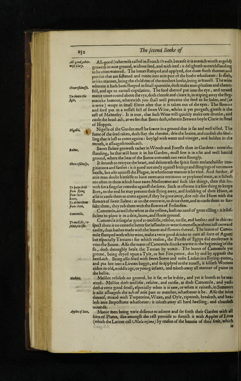 252 yiil-goodyOther^ wife Ctaty, Chetrefilneffe, TêcUarethe Kigelld, Chterefilne^t, Toliteptbets fiopi fiying f-m their hiuei. To drintthm from them. Camomile, To moUifie, re- folutyrkrt^* ' > \ ÀppUsofloue, All-o^ood (otherwifc called in French Ortta/!e,hcczu(c it is as much worth as gold) o^roweth in auic ground, without feed, and with Iced : it delightcth notwithftanding to be often watered. The leaucs ftaroped and apply cd, doc draw forth thorncs and prickes that arc faftened and runne into anic part of the bodic whatfocucr : It doth, in like manner, bring the child out of the mothers bodic,being intrauell. The wine wherein it hath been ftceped in fmall qiiantitic,doth make men pleafanc and chccre- full, and apt to carnall copulation. The feed thereof put into the eye, and turned manic times round about the eye,doth clcanfc and clearc it, in wiping away the fieg- maticke humour, wherewith you fhall well percciuc the feed to be laden,and (as it were) wrapt in fmall filmes after that it is taken out of the eyes.The flowers and feed put in a vcflcll full of fwcet Wine, whiles it yet purgeth, giueth it the taft of Malmcfcy. It is true, that fuch Wine wiU quickly make one drunkc, and caufc the hcad-ach, as we fee that Bccrc doth,wherein Brewers boyle Claric in ftcad of Hoppes. Nigella of the Garden mufl be fowne in a ground chat is fat and well tilled. The fume of the feed taken, doth flay the rheuroc, drie the brainc, and caufeth the fmcl- ling that is loft to come againc ; boylçd with water and vineger, and holdcn in the mouth, it aftiiageth tooth-ach. Sweet Balme groweth rather in Woods and Forefts than in Gardens ; notwith¬ ftanding, he that will hauc it in his Garden, rauft fow it in a fat and well battild ground, where the heat of the Sunne commeth not verie ftrongly. It ferueth to reioyce the heart, and dcliuercth the fpirit from melancholike ima¬ ginations and fanfies : it is good not oncly againft bitings and ftingings of venimous bcafts, but alfoagainft the Plague, in whatfocucr manner it be vied. And further, if anic man doubt himfelfc to hauc eaten anic venimous or poyfoned meat, as it fallcih out often in them which hauc eaten Muftiromes and fuch like things, then this fer¬ ueth for a fingularrcmedie againft the fame. Such aseftcemc itafincthingtokeepc Bees, to the end he may prcucnc their flying away, and forfaking of their Hiues, as alfo to caufc them to come againe,if they be gone away, doc rub the Hiues with the flowers of fwcet Balme : as on the contrarie, to driue them,and to caufc them to for- fake them, they rub them with the flowers of Fethetfew. Camomilcias well the white as the yellow, hath no need of great tilling : it is fuf- ficiënt to plant it in a drie, leane, and ftonic ground. Camomile is Angular good to raollifie, refolue, ratifie, and loofen : and in this re- fpeff there is no remédie better for laffitudes or wearifomcncfic,without iuft outward caufes, than bathes made with the leaucs and flowers thereof. The leaucs of Camo¬ mile ftamped with white wine, make a verie good drinkc to cure all forts of Aguesi but efpecially Tertians : for which rcafon, the Priefts of Egypt did confccratc it vnto the Sunne. Alfo the water of Camomile drunkc warmc in the begiimingofthc fit, doth throughly heale. the Tertian by vomit. The leaucs of Camomile yet grcenc, being dryed vponaTyle,or hot Fire-panne, doc by and by appeafe the hcad-ach. Being alfo fried with fwcet Sewet and vnfet Leekes in a Frying-panne, and put hot intoaLinncnbaggc,and fo apply cd to the nauell, it killcth Wormes either in old, middle age, or young infants, and Cikcth away all manner of paine in the bcllic. Melilot refufeth no ground, be it fat, orbe it drie, and yet it loucth to be wa¬ tered . Melilot doth mollific, refolue, and ratifie,as doth Camomile, and yecl- dethi verie good fmcll, efpecially when it is new, or when it raincth,in Summer: it alfo afluageth the ach of anic part or member, whatfocucr it be. Alfo the juice thereof, mixed with Turpentine, Waxc, and Oylc,ripencth, brcaketh,and hca- leth anic Impoftume whatfocucr: it takethaway all hard fwelling, and cleanfcdl wouhds. , Manic men being verie defirous to adornc and fee forth their Garden with lU forts j6£ Plants, docamongftithe reft prouide to fiirnifti it with Apples of Lout (which the Latines call CHala infana) by rcafon of the bcautie of their fruit, which