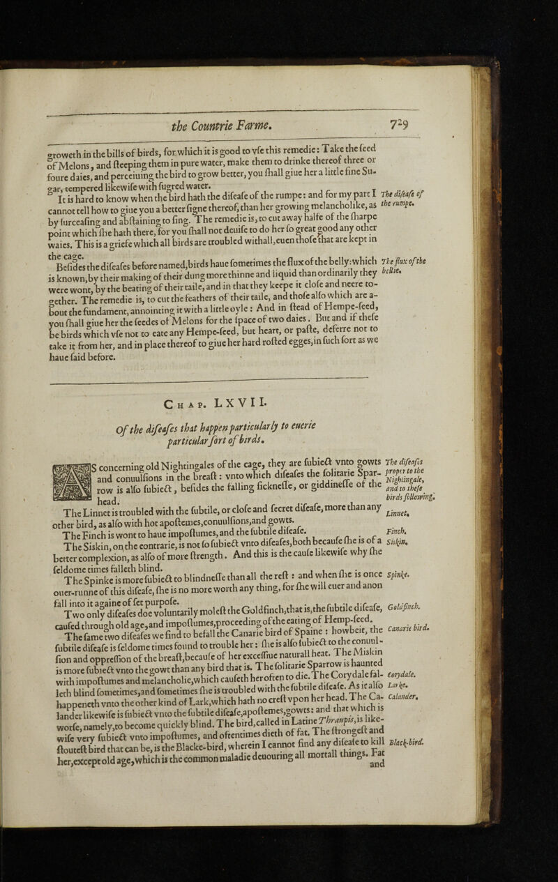 eroweth in the bills of birds, for which it is good to vfc this remédie ; Take the feed of Melons, and fteeping them in pure water, make them to drinke thereof three or fourc daies, and perceiuing the bird to grow better, y ou lliall giue her a little tine Su- It is hard to know when the bird hath the difeafe of the rumpe : and for my part I rfee ^ of cannot tell how to giue you a better figne thereof, than her growing t^/^^ncholike, as the rumpe. by lurccafing and abftaining to ting. The rcmcdie is, to cut away halte of the tharpe point which the hath there, for you tball not deuife to do her fo great -ood any other vvaies. This is a griefc which all birds arc troubled withall,eucn thofc that are kept in Befidcs the difeafes before named,birds haue fotnetiraes the flux of the belly , which is known,by their making of their dungmorethinne and liquid than ordinarily they were wont, by the beating of their taile, and in that they k«pc « clofe and neere to- <^ethcr. The remédié is, to cut the feathers of their taile, and thofc alfo which area- bout the fundament, annointing it with a little oyle : And in ffead ^Hempe-feed, you fhall giue her the feedes of Melons for the (pace of two daies. But and if chefe be birds which vfc not to cate any Hempe-feed, but heart, or pafte, deftrre not to take it from her, and in place thereof to giue her hard rofted eggcs,in fuch fort as we haue faid before. Chap. LXVII« of the difeafes that happef^ particularly to euerie particularfort of birds • s concerning old Nightingales of the cage, they are fubieO vnto gowts and conimlfions in the breaft : vnto which difeafes the fohtane Spar¬ row is alfo fubiea, befides the falling fickneae, or giddineffe of the im head The Linnet is troubled with the fubtile, or clofe and fccret difeafe, more than any other bird, as alfo with hot apoftcmes,conuulfions,and gowts. The Finch is wont to haue impoftumes, and the lubtile dilcalc. The Siskin, on the contrarie, is not fo fubieft vnto difcafcs,bothbccaure fhe is of a better complexion, as alfo of more ftrength. And this is the caufc likcwife w ly fhe fcldometimesfallcthblind. , , n.- The Spinke ismorefubiea to blindncffe tto all the reft t and when foe is o c oiicr-tunne of this difeafe, foe is no mote worth any thing, for foe will euer and anon Two orfy difeafes d« voluntarily molcft the Goldfinch.that is.thefobtile difeafe, caufed through old age,and impoftumes.procecdingof the eating of Hemp-feed. The fame two difelfes we find to befall the Canarie bird fubtile difeafe is feldome tiroes found to trouble her : foe is alfo fionandopptefoonofthebreaft,becaueofherexce(rmenaturallhea^^^^^ is more fubiea vnto the gowt than any bird that is. The folitarie p p , . . withimpoftumesandmclancholie,whichcaufethherofiento leth blind foroeciroes,andfometimes foe is troubled with the “ ATheCa landerlikewifeisfobieavntothefubtiledife.fe.apofteroes,gowts:andtha.wh,^ worfe,n,roely,to becoroc quickly blind The bitd,calUd ro La^^^^^^^^^ wife very fubieft vnto impoftumes, and oftentimes dicth of fet. The ^ Zteftbirdthatcanbe,is?heBlacke.bird,whcreinIcannotfind^^^^^^^^^ her,exceptoldagc,whichisthecoromonmaladiedcuounogaHroortall throws, ba The difeafts proper to the Nightingale, andtothefe^ birds fiUowingl Linnet, Finch. Siil(in, Spinke. Goldfinch. Canark bird. Corydale. Larke. Calander, Black-hird.