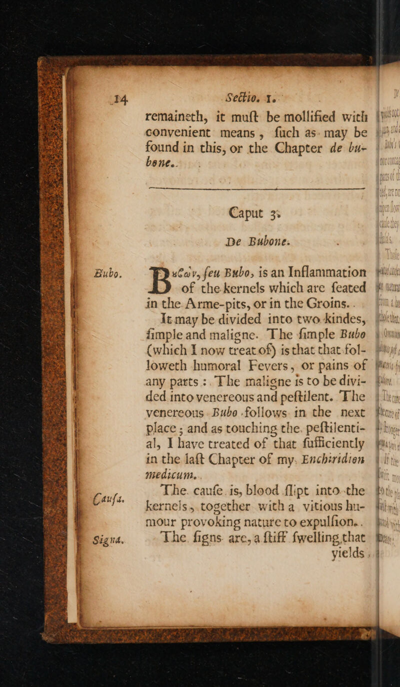 &gt; cit orn 4 . aoe oe sen : re “8 Se. prs Ae pk do a het Ree ae eal uc RPae se tenon Bet ee to ws | =a PS ene &amp; % PP a Sectio. Yo remaineth, it muft be mollified with convenient means, fuch as: may be found in this, or the Chapter de bu- bene.. -_ Caput 3% De Bubone. BB“ vy, feu Bubo, is an Inflammation of the kernels which are feated in the. Arme-pits, or in the Groins. . Is may be divided into two kindes, {imple and maligne. The fimple Babe (which I now treat of) is that that.fol- loweth humoral Fevers, or pains of any patts :. The maligne 1s to be divi- ded into yenereous and peftilent. The venereous - Bubo -follows in the next place ; and as touching the. peftilenti- al, I have treated of that fufficiently in the laf{t Chapter of my. Encheridien medicum. The. caufe.is, blood flipt into.-the kernels, together witha vitious hu- mour provoking nature to expulfion.. The. figns. are, a {tiff fwelling that yields . Pei