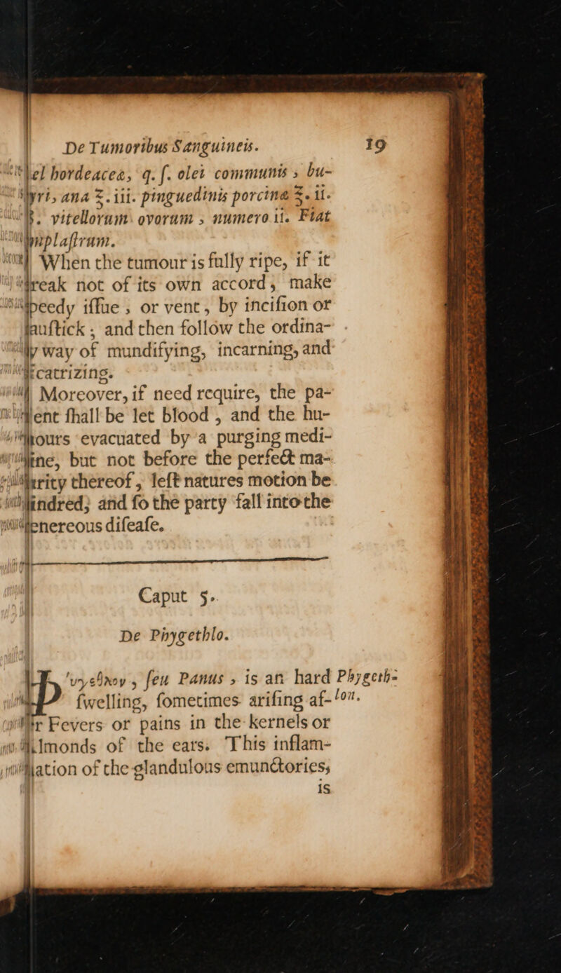 ‘Ithel hordeacea, q.f. olet communis » bu- yrs ana &amp;. ili. pinguedinis porcine $- il. 8. vitellorum: ovoram , numero... Ptat iiplafiram. ‘t0tt) When the tumour is fully ripe, if it )*freak not of its own accord, make Siibeedy iffue , or vent, by incifion or lauftick ; and then follow the ordina- “iy way of mundifying, incarning, and i catrizing. il Moreover, if need require, the pa- ent fhall be let blood , and the hu- /ihours evacuated bya purging medi- wine, but not before the perfec ma- ‘uilerity thereof, left natures motion be wiiindred; and fo the party fall intothe wilfenereous difeafe. eres terme rr eee Caput §.- De Piygethlo. vr Fevers or pains in the kernels or 1, §ilmonds of the eats. This inflam- ation of the glandulous emunctories; | iS : - ¥ ~ ae oe Mies ee « a) — &gt; TA . 7 ie wee » aS Naas ae Re a © Ss. =f -+