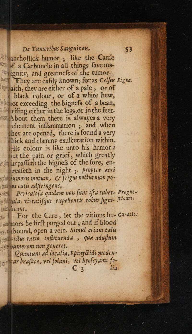 ‘Wanchollick humor ; like the Caufe »f a Carbuncle in all things fave ma- ignity, and greatnefs of the tumor. 'SiM§aich, they are either of apale, or of @ black colour, or of a white hew, Uuitot exceeding: the bignefs of a bean, ‘(@rifing either inthe legs,or in the feet. WA bout them there is alwayesa very tehement inflammation ;. and when ghey are opened, there is found a very Whick and clammy exulceration within. His colour is like unto his humor : Put the. pain or grief, which greatly jar paffeth the bignefs of the fore, en- greafeth in the night ;: propter atrs <ilamoris motum, Cr frigus nockurnum po- 4uiljos cutis adftringens. emo cant. _wm@nors. be firft_purged out ; and if blood wy, @bound, open a vein. Simul ettam talis wivictus ratio. mftituenda , que aduflum ilipumerem non generet. } Quantum ad localia,Epinydids meden- _domrar braficas vel folant, vel hyofcyamt fo- | C 3 lin ; Rn, mt Yr Se oe fe at tt tS rs ~~ SE OEE ENAL Fy, = ae = Se a 3