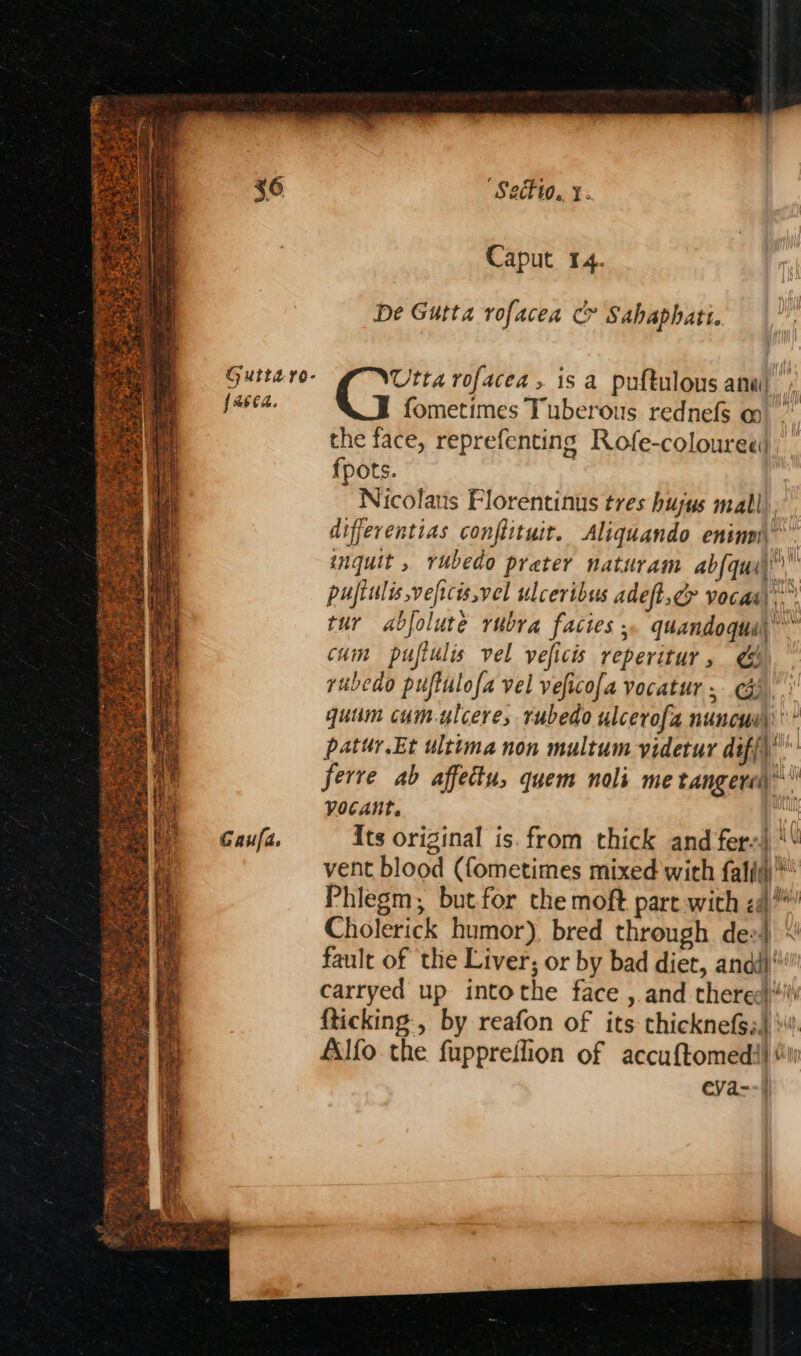 Gutttro- {aeea. Gaufa. ‘S2actto., Y: Caput 14. De Gutta rofacea c> Sahaphati. Utta rofacea, is a puftulous anal; fometimes Tuberous rednefs @ the face, reprefenting Rofe-colouree( fpots. Nicolaus Florentinus tres hujus mall). differentias conflituit. <Aliquando eninn,” inguit , rubedo preter naturam abfqui’” pujiulis veficis,vel ulceribus adeft,c> vocas\..” tur abjolute vubra facies 5. quandoque, cum puftulis vel veficis reperitur, yubedo puftulofa vel veficola vocatur. i | quum cum-ulcere, rubedo ulcerofa nuncw\\' ’ patur.Et ultima non multum yidetur dif{)’ ferre ab affectu, quem noli me tangere yocant. ) Its original is. from thick and fers) ‘\ vent blood (fometimes mixed with fall) Phlegm; butfor the moft pare with <a Cholerick humor). bred through de:4 fault of the Liver; or by bad diet, andd} carryed up intothe face ,.and therec}*! fticking., by reafon of its cthicknefS,) \\ Alfo. the fuppreflion of accuftomeds) “Ww eVa-)