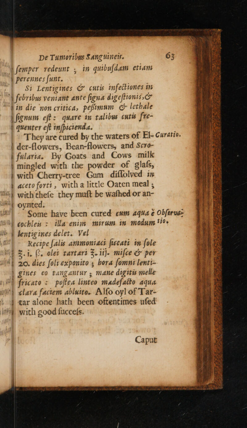 4 ee = <7) io. ce fa ° ” ‘ F 4 - F A ; - 3 « : nd ° « - SSCS aes = > — - Pas TS 'aMan eo + Wmee ’ ™. > “s By ete cet § : 2 * « Paes De Tumoribus Sanguimners. “W femper redeunt , in quibufdam etiam } perennes {unt. . | Si Lentigines &amp; cutis tnfettiones m \| febribus veniant ante figna digeftionis,c° “in die ‘non critica, pefimum @&amp; lethale ifignum eft: quare in talibus cutis fre- | quenter eft infpictenda. They are cured by the waters of Fl- Curatzo. | der-flowers, Bean-flowers, and Scro- | fulaviaz. By Goats and Cows milk mingled with the powder of glafs, with Cherry-tree Gum diflolved in aceto forti, witha little Oaten meal ; with thefe they muft be wafhed or an- oynted. | -~ Some have been cured eum aqua ¢ Obferue> Wi) gochleis : ila enim miram im modum > | bentigines delet. Vel Recipe {alis ammontact fiscatt in fole Zi, (3. olet tartart 3. i1j- mifce cy per 20. dies foliexponito ; bora fomni lenti- gines eo tangantur ; mane digitis melle (\) fricato : poftea linteo madefatto aqua clara factem ablutto. Alfo oyl of Tar- tar alone hath been oftentimes: ufed with good fuccefs. aoe ee fee Wy A> f' Be 2 —. ran — = So. 2h re —— —- = on i —s | a Caput