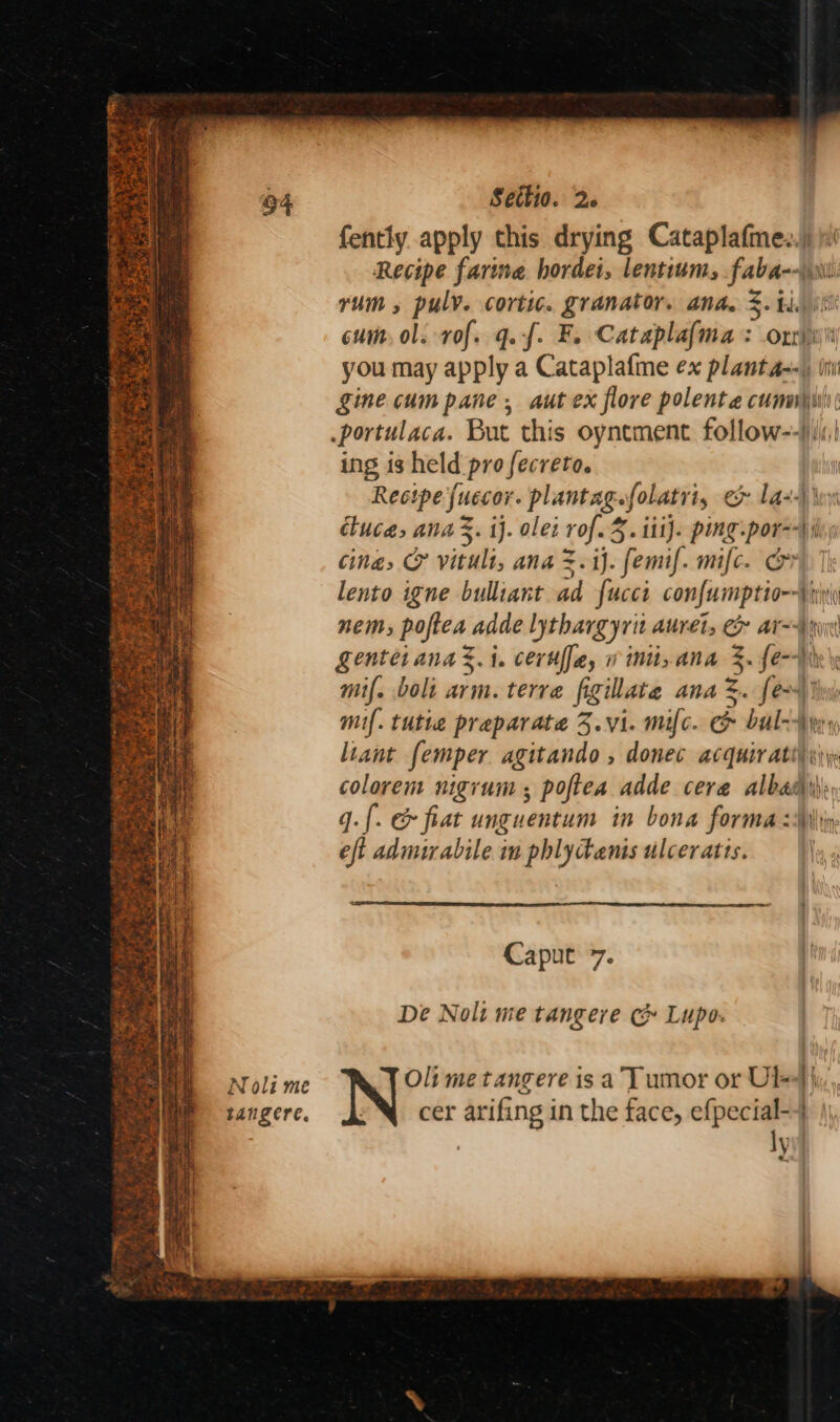 fently apply this drying NT i Recipe farine hordei, lentium, faba--i rum , puly. cortic. granator. ana. %. ti) cum, ol. rvof. q.f. Fe Cataplafnia: cri you may apply a Cataplafme ex Hutiel i gine cum pane, aut ex flore polenta cumn\i: .portulaca. But this oynement follow--) ii, ing is held pro fecreto. Rectpe juccor- plantag folatrt, ey Laz) iu cluce, ana. i}. ale: rof.5. iti}. ping:por--\ | Cina, &amp; vitult, ana =.ij. femif. mifc. &amp; lento igne bulliant ad fucci confumptio--\ iy nem; poftea. adde lythargyrit AULELs CO? AT~AMiyet Kenteianas.i. ceruffa, w imi, ana . fev mif. boli arm. terre figillate ana. fer) mf. tutte preparate 5.vi. mic. oh bul-Ayrs liant femper agitando , donec acquiratiy sy colorem nigrum ; poftea adde cera albasie q. {. &amp; fiat unguentum in bona forma :\in eft admirabile in phlytanis ulceratts. Caput 7. De Noli me tangere c&amp; Lupo. Noli me Oli me tangere is a’ umor or Ole) \y, bangere. cer arifing in the face, efpecial-4 ly