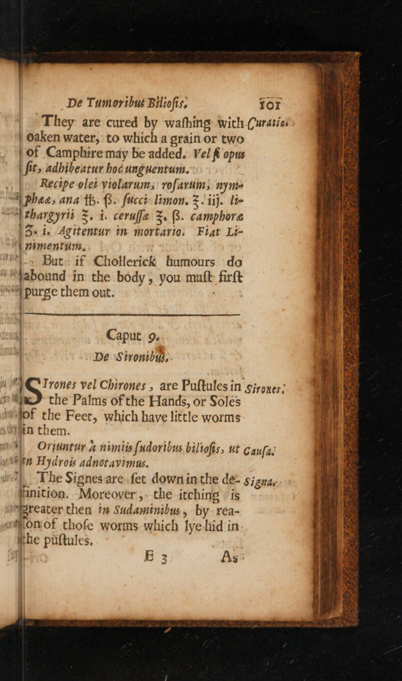They are cured by wafhing with Curatiei | Oaken water, to which a grain or two | of Camphire may be added. Vel ft opus fit, adhibeatur hoc unguentum. Recipe olet violarums rofaruin, nym “A phaa, ana th. B. fucct: limon. &amp;. iij. lie een 4 thargyrts 5+ i. ceruffe 3. (3. camphora (d« 1. Agitentur in. mortario, Fiat Li- ‘wimentum, “5 But» if Chotlerick humours do jabound in the body, you muft: firft “purge them ont. gh Caput 9. De ‘Stroniby. i ihe S rones vel Chirones , are Puftulesin sizoyes: x the Palms of the Hands, or Soles of the Feet, which have little worms iin them. Wi) Orpdatur 2 nimiis [udoribus biliofis, ut Gaufae ihn Hydrois adnotavimus. | The Signesare fet downinthe dé sjana, Hinition. Moreover ,- the itching is isreater then im Sudaminibus, by rea- wihkonof thofe worms which lye-hid in. ithe puftules, i 3 As: nt  - ~ = WEA Das se er tee A ty yes te eS x os ra mor - >a < a 3 RPS.