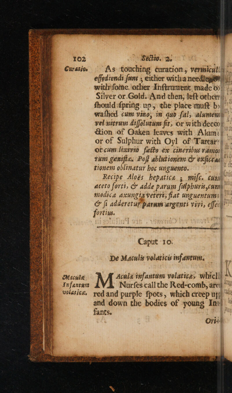 Curatio As touching ¢uration, vermicull) .. effodiendi funt , eicher witha needlegey ||), with fome. other Inftrnment made oy! /, Silver or.Goid.:And then; left other), fhould:{pring: up 5 the place mut by’; wafhed. cum vino, in quo fal, alumem | vel nitrum difolutum fit, or with deco) tion of Oaken leaves with Alumi) ,' or of Sulphur with Oyl of ‘Tartar: orcum lixtyn fatto ex cinerthus ramon! tum genific. Poft ablutionem &amp; exfictad) | tionem oblinatur hoc unguento. Py Recipe Aloés hepatica ; mifc. cus). aceto fortt, &amp; adde parum fulphuris,cumm) medica axungiavetert, flat unguentumi |’ fi adderetuf parumargentt vivi, effer))! fortius. Z peace so rap. Ve ut, . sf ES Caput 10. De Maculis volaticis infantum. Macule Acula infantum yolatice, whicli) *\ Iufantam Narfes call the Red-comb, ared *“ volasica. yedand purple fpots, which creep ufy) and down the bodies of young Inv) “ fants. Ort)