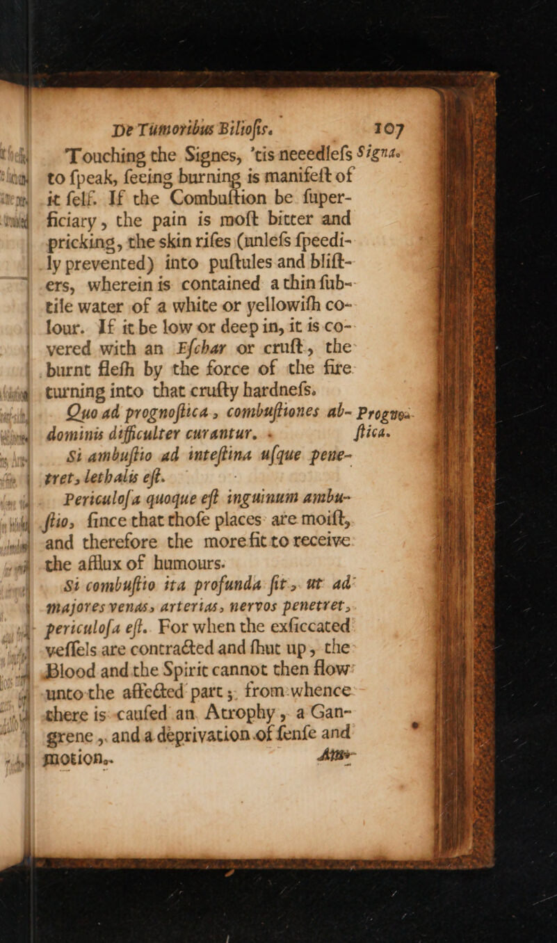 it felf. If the Combuftion be fuper- ficiary , the pain is moft bitter and pricking , the skin rifes (unlefs {peedi- ly prevented) into puftules.and blift- ers, wherein is contained a thin fub- tile water of a white or yellowith co- lour. If it be low or deep in, it 1s.co- vered with an Efchar or cruft, the burnt flefh by the force of the fire turning into that crufty hardnefs. dominis dificulter curantur. « Si ambuftio ad inteftina ufque pene- tret, lethalis eft. : Periculofa quoque eft inguinum ambu- ftio, fince that thofe places: are moitt, and therefore the morefit to receive the afllux of humours. MAjores Vendss arterias, nervos penetret, periculofa eft.. For when the exficcated yeflels are contracted and fhut up, the Blood and the Spirit cannot then flow untothe affected part ;, from:whence there is»-caufed an, Atrophy ,- a Gan- grene ,. anda deprivation.of fenfe and