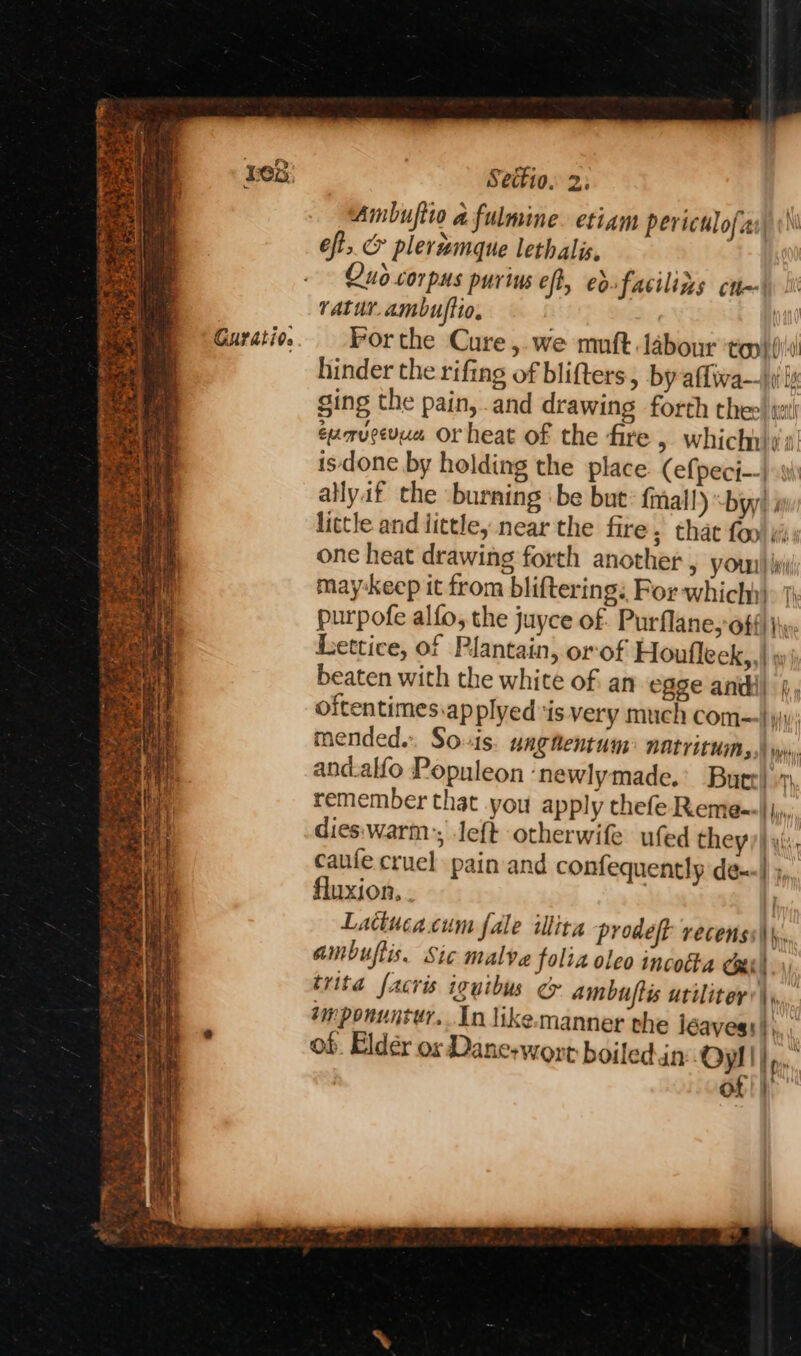 Guratid. Ambuftio a fulmine. etiam perictlofas\ i oft, &amp; plerumque lethalis, Quo corpms purius eft, eofacilizs cn~| ratur. ambuftio. Forthe Cure ,.we muft labour top} (i! hinder the rifing of blifters, by affiwa—1i ls ging the pain,.and drawing forth thee) (st) emmucevuc Orheat of the fire > Which i a! isdone by holding the place. (efpeci--| allyif the burning ‘be but: fmall) by! i little and iittley near the fire, that foo one heat drawing forth another > youn! ini may-keep it from bliftering: For which}, 7} purpofe alfo, the juyce of Purflane,-off) ji». Lettice, of Plantain, orof Houfleek,,| yj beaten with the white of an egge andi) 4, oftentimes.ap plyed ‘is very much com—} jv; mended. Souis. unghentum® natrituims,) wu, and.alfo Populeon ‘newlymade.’ Butrl 7: remember that you apply thefe Reme=\ , dies:warm:; left otherwife ufed they) yi: caufe cruel pain and comfequently de-«} », fluxion, . i Latincacum fale iltita prodeft recenss\\,, ambuflis. Sic malve folia oleo incotka cut\ trita f[acris wuibus or ambuftis utilitey if wn ponuntur. In like-manner the léavess |, ob. Elder ox Dane-wort boiled.in Oy! ||). of! | —