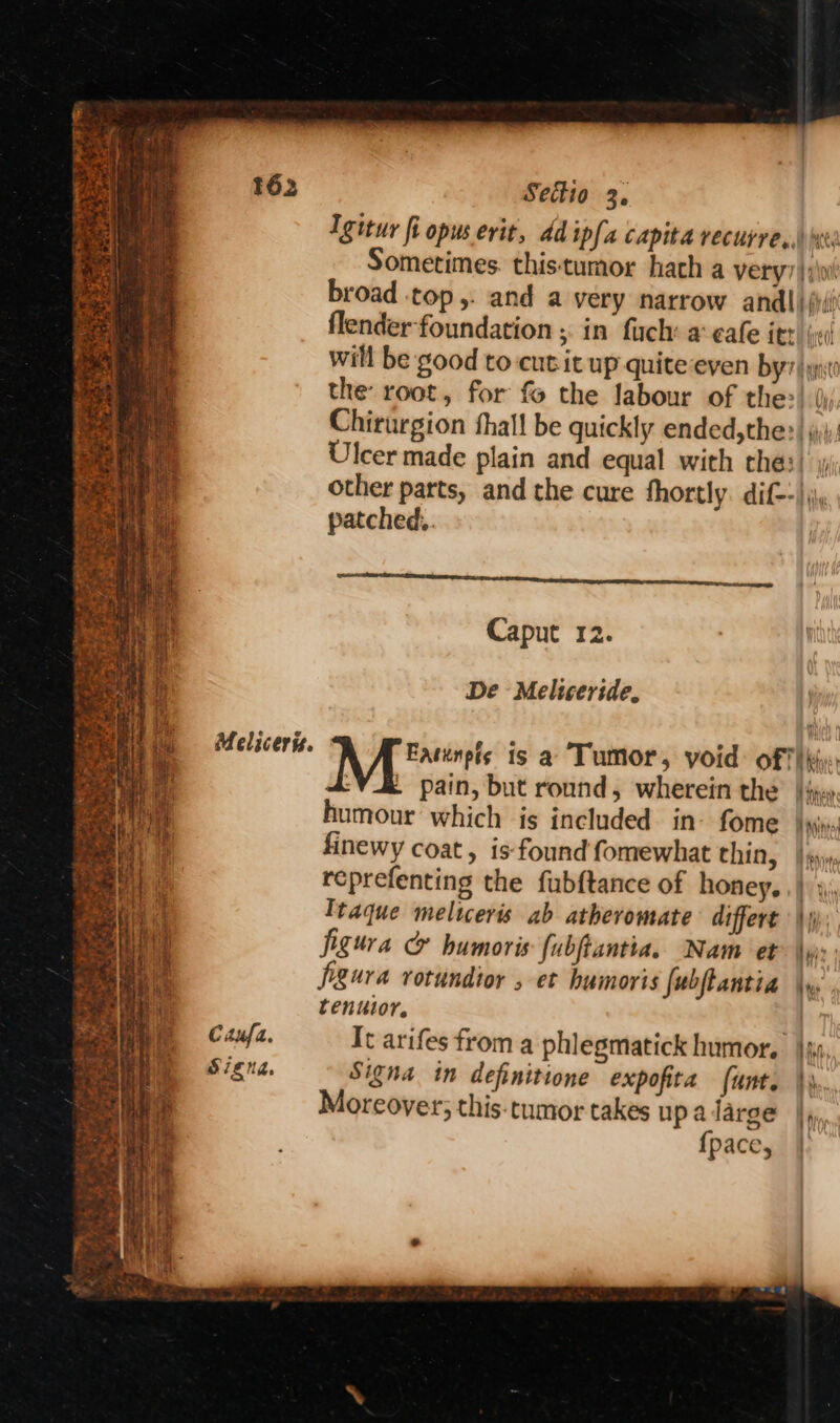 my as Fe Be &amp; yey, | j ‘ etx iS # Fee I ee , a > ne bom ro - - » s 4 ' . = x 3 4 Pans oem: int Sie = wpe eS pa aire er ett <i ase ee et x ae ay Troe +e es PETA &amp; ‘phike. ty ® * Wee ey, Lz * A : ‘ ty 4 ; i Fe ti ix ie Mn +2 = = Sewers Settio 3. UH tite ft Caput 12. De Meliceride, tenutor, Canfa. Signa, {pace,