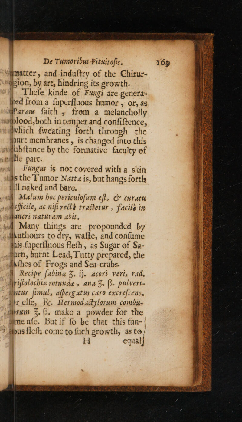 esion, by art, hindring its growth. | _Thefe kinde of Fang: are genera= ged froma fuperfluous humor , or, as Qvhich {weating forth through the aurt membranes , is changed into this Fungus is not covered witha sxin ill naked and bare. Mancri naturam abit. this. fuperfluous flefh, as Sugar of Sa- Mithes of Frogs and Sea-crabs. M Recipe fabing 3. ij. acort veri, rad, Mytuy fimul, afperg at ur caro excre{cens. Wram 3. (3. make a powder for the Hmeufe. Butif fo be that this fun- | HH equal)