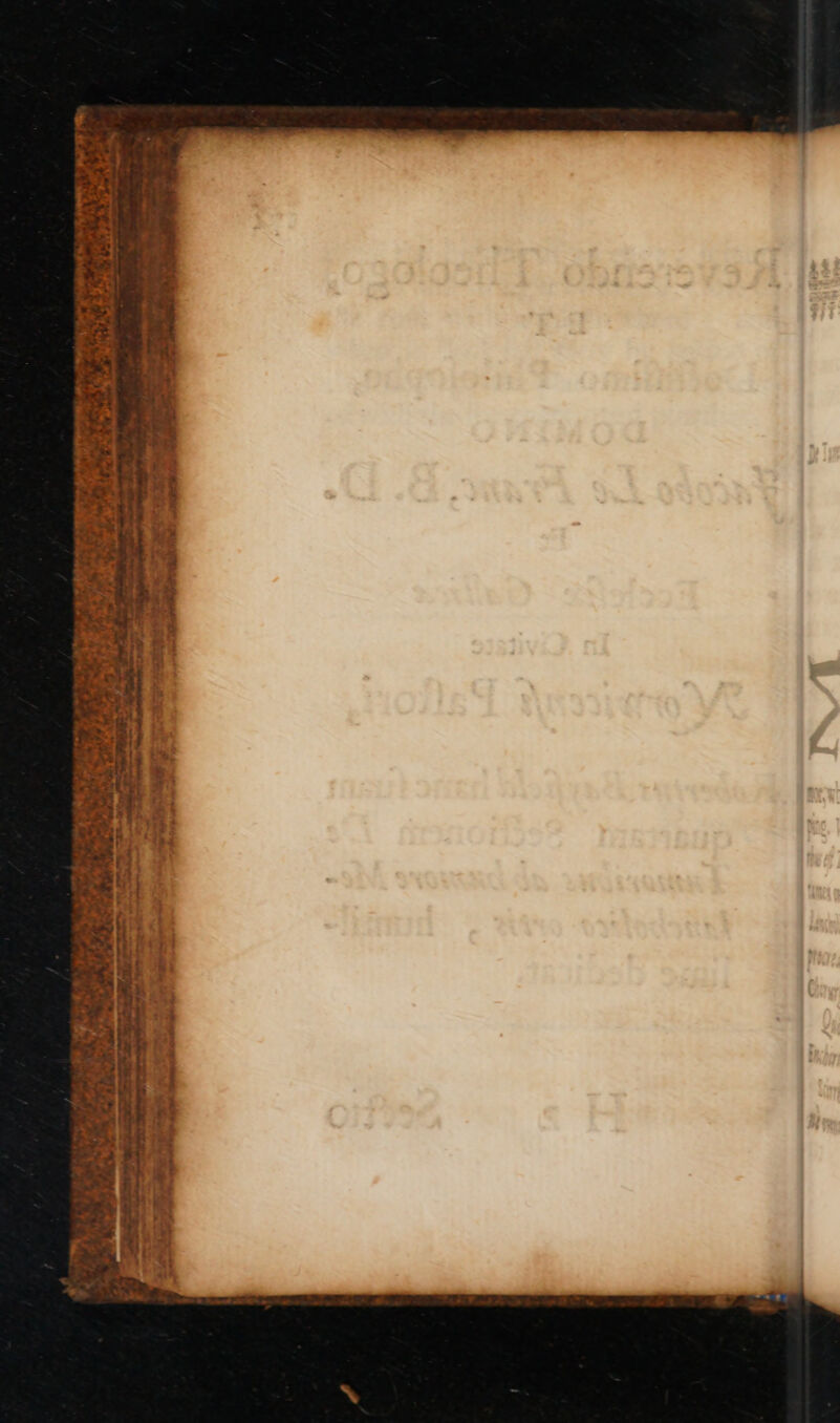 ~ Fig eae ae RN oa or ea el Rie Ma: ee EE