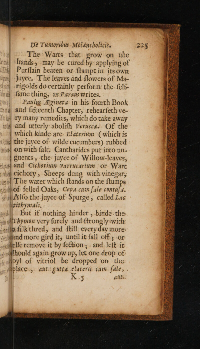 The ‘Warts that grow-on uhe ii! ‘hands, may be cured by applying of 4 Purflain beaten or ftampt in its own ij -Juyce. The leaves and flowers of Ma- i -rigolds docertainly perform the. felf ad fame thing, as Paraus writes. r Paulys Z2gineta in his fourth Book ‘@q and fifteenth Chapter, rehearfeth ve- ikl ry many remedies, which do take away byt and utterly abolith Verucce. Of the , | Which Kinde are. Elaterium (which is 3) the juyce of: wilde cucumbers) rubbed 4 on with falc. Cantharides put into un- | guents, the: juyce of Willow-leaves, wh And Cichorium varrucarium or. Wart wii) cichory, Sheeps dung wich vinegar, sid The water which ftands on the ftumps of felled Oaks, Cepa.cum fale contul a. +i HLXILO the juayce of Spurge, called Lae rithymali, But if nothing hinder , binde.the wa bymon very farely and ftrongly with iouiee dik thred, and {till everyday more: ivimpnd more gird it; untilicfall off; or »imelfe remove it by fection; : and-left ir ¢mpyl of vitriol be dropped on the Bplace.,. aut. gutta claterti. cam-fale, . K.5 Aut Se