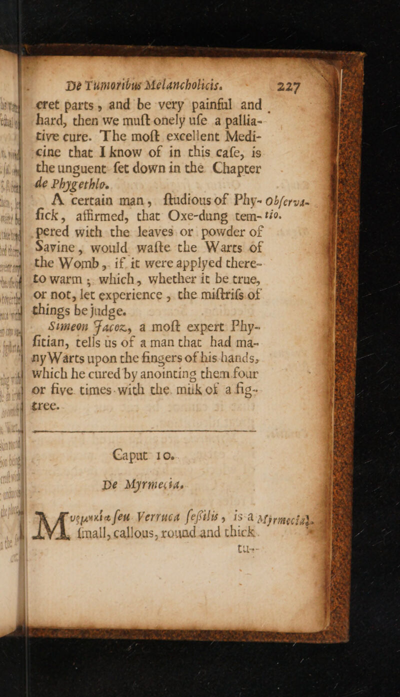 { cret parts, and be very painful and _ hard, then we muft onely ufe a pallia- tive cure. The moft excellent Medi- the unguent: fet down in the Chapter de Phygethlo. pered with the leaves. or powder of Savine, would wa{te the Warts of the Womb.,,. if. it were applyed there- to warm ;. which, whether it be true, or not, let experience , the miltrifs of things be judge. Simeon Facony a moft expert Phy- fitian, tells us of aman that had ma- ny Warts upon the fingers of his-hands, which he cured by anointing them four or five times-with the. muk of afig- tree. ee EmnnEEEREEnEEEGEe mame dname amend Caput: 10. De Myrmecsa. try A a
