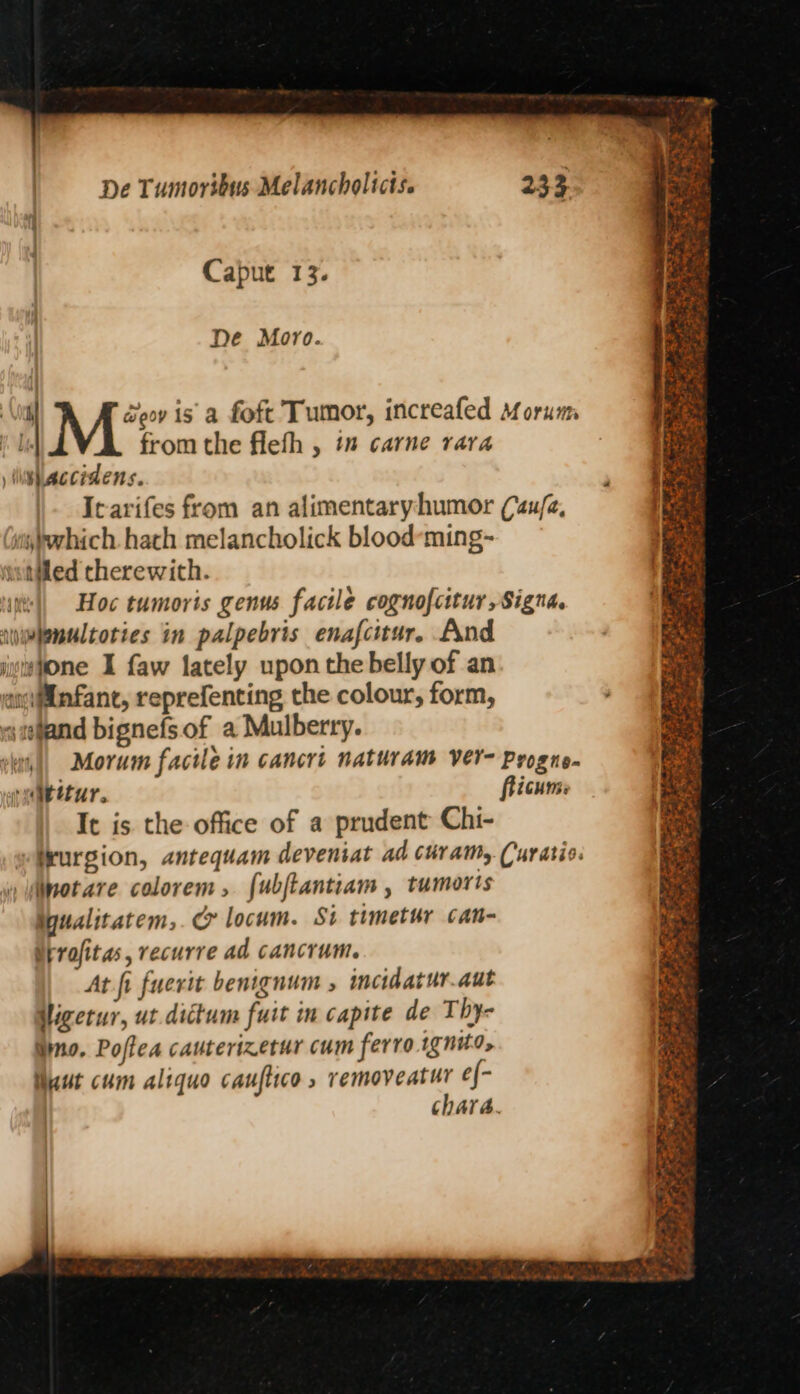 Caput 13. De Moro. | i M* isa foft Tumor, increafed Morunm Ut from the flefh , im carne rara ) Wtaccedens. Itarifes from an alimentaryhumor (4u/a, sjuhich. hath melancholick blood-ming- wintled cherewith. Hoc tumoris genus factle cognofcitur, Signa. wplenultoties in palpebris enafcitur, And jstvwone I faw lately upon the belly of an siinfant, reprefenting the colour, form, smjand bignefsof a Mulberry. “eh |) Morum facile in cancri naturam ver Progne. valtttur. fticums It is the office of a prudent Chi- \notare colorem, {ubjtantiam , tumoris Myualitatem,. @ locum. St timetur can- Urrofitas, recurre ad cancrum. At fi fuerit benignum , mcidatur.aut Wigetur, ut dictum fuit in capite de Thy- mo. Poftea cauterizetur cum ferro ignito, aut cum aliquo cauftico, removeatur e{- chara. — Rf ee as hs = we ” ¥ = Steyn Pay, pS in PE =. ? x