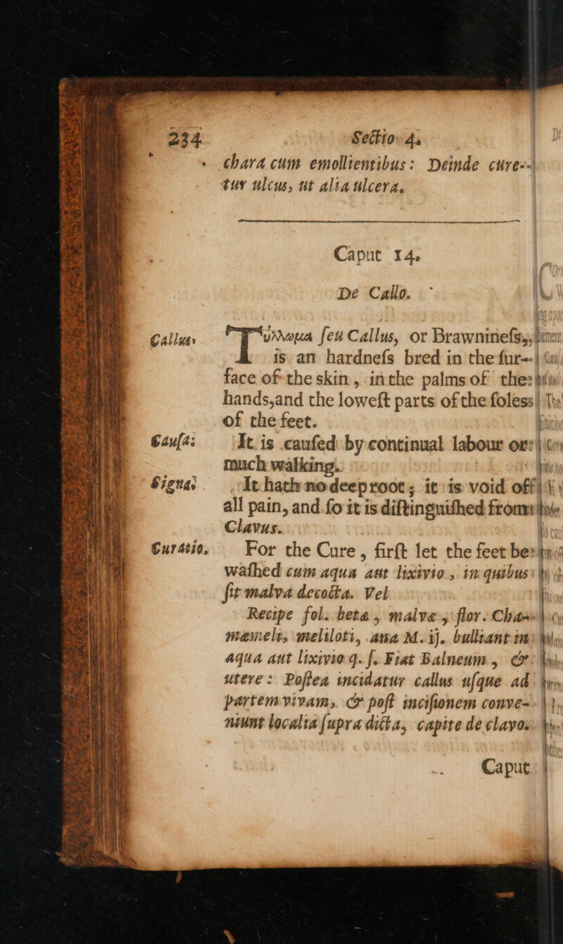 La Pp , oe Ve it J ; % . % 3 nA “ne . Nt! 3 “ol Cie 7 Be ETS eas, Rie S ii 4 oS pay te 5 d } im we Ki 4a ‘ * a | : | 4 it BBL ae he * 4 as ; ee Ri S1gnae t YA tr i ha * i i$ n. By a hee ty i Cur ario, 7 . Sectioy 4. tuy ulcus, ut alta ulcera,. A a Caput 14. De Callo. hy eae feu Callus, or Brawninefs,, ee is an hardnefs bred in the fur} (w face of the skin, inthe palmsof the: (i hands, and the loweft parts of the foless} ‘[\s of the feet. | It. is caufed: by continual labour ox: | (Gi much walking. I It. hath nodeeproot; it:is void offi) | all pain, and fo it is diftinguithed frommlbine Clavus. q For the Cure , firft let the feet ber ity wathed cum aqua aut lixivio , in quibuss\ fit malva devoka. Vel ) Recipe fol. beta , malva., flor. Chav cy memelt, meliloti, ana M.ij. bullzant im) Wy, aqua aut lixiviog. [. Fiat Balneum , Ge? Iw utere: Poftea incidatur callus ufque ad bys partemvivam, &amp; poft incifionem conve=: |} niunt localta upraditta, capite de clavos. \yy,