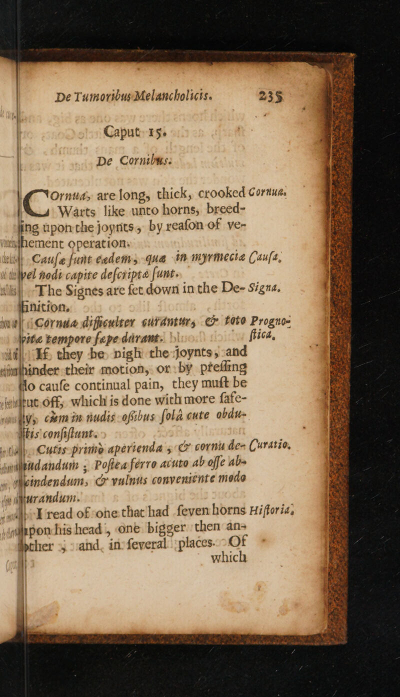 Caput: 15. De Cornibus: | Beene are long, thick, crooked Coraua. Warts like unto horns, breed- ling upon the joprits, by reafon of ve- iurgfhement operation. uit) Caufe funt cadems qua in myrmecia Caufe, ielpel nodi capite defcripta funt. | The Signes are fet down in the De- Signa, ibnition. nel i Cornda difnculter cuvanttr, 7 tote Progno- pita tempore fepe diramt. fiica, © {fT they be nigh the joynts, -and diwthinder their motion, or by ptefing fio caufe continual pain, they muft be Jelitut-off; which is done with more {afe- ly chm im nudis ofsibus fola cute obdu- Ntis confiftunt. idl. Cutisprime aperienda 5 @ corn de- Curatio, iqiendandum , Pofeaféerre acute ab offe ab- svindendum, @&amp; vulnus conveniente modo dw durandum. M-V'read of ohe that had feven horns Hifforia, ,iaponchis head , one bigger then ans Aycher «J vad, in’ feveral places. Of } which