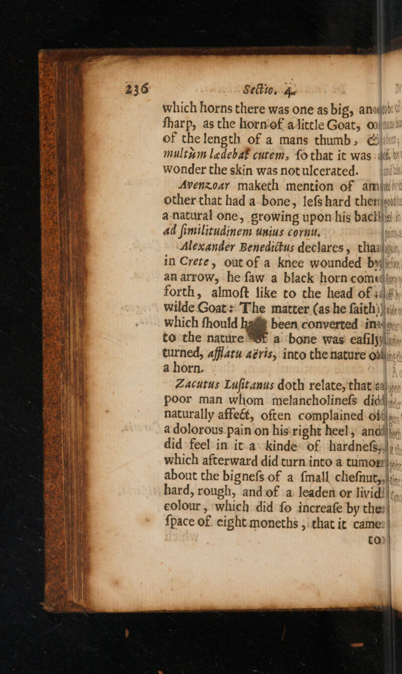> Tp: i aa ; 28 nS ‘Os te. w. se of Ae, aris eat a Re Meee We: ers e Y eh 5 Ny a0 “ Section Ae which horns there was one as big, anaéibi fharp, as the horn-of alittle Goat, of the length of a mans thumb, &amp; multum ledebak cutem, fo that it was dh) wonder the skin was not ulcerated. Avenzoar maketh mention of amijé other that had a bone, lefs hard thers a-natural one, growing upon his bachliiq | ad fimilitudinem unius corni. | Alexander Benediitus declares , thaalla in Crete, outof a knee wounded byy\ii an arrow, he faw a black horn comedhiy) forth, almoft like to the head of id) wilde Goats: The matter (as he faith}))y\(; which fhould haf been converted ‘ina, to the nature a bone was! eafilsy)jiiy: turned, afflatu aéris, into the nature obhis: a horn. Zacutus Lufitanus doth relate, that ay poor man whom melancholinefs didd)y, naturally affe&amp;t, often complained: off}. a dolorous pain on his-right heel and} jy) did feel in it a. kinde: of hardnefs,,)» s, which afterward did turn into a tumogr)y\, about the bignefs of a {mall chefnut,,}ii hard, rough, andof a leaden or lividil,,, edlour, which did fo increafe by thes! {pace of. eight moneths ;: that it cames| CO) |