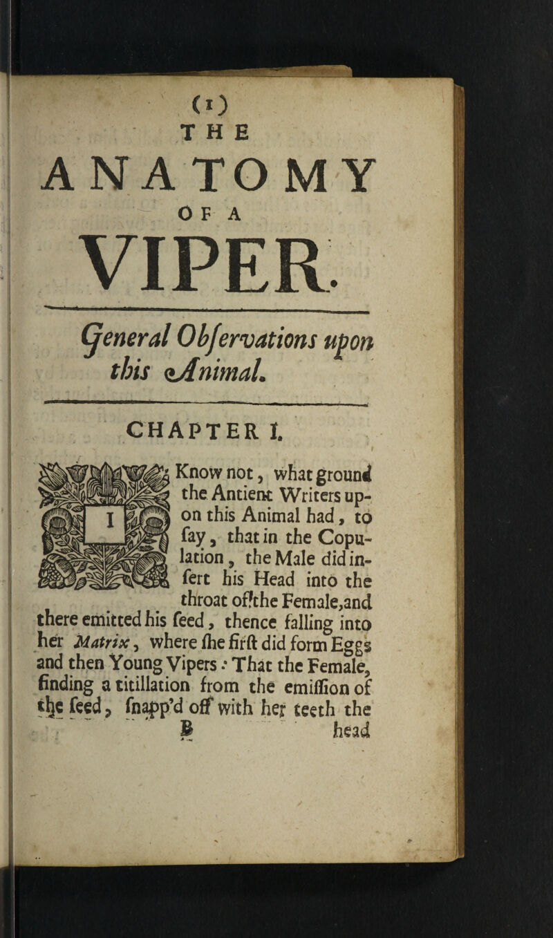 <o THE ANA TO MY ' : ri O F A (jeneral Obfervations upon this <lAnimal. CHAPTER I. * I Know not, what ground the Antient Writers up¬ on this Animal had, to fay, that in the Copu¬ lation , the Male did in- fert his Head into the throat offthe Female,and there emitted his feed, thence falling into her Matrix, where flie firft did form Eggs and then Young Vipers • That the Female, finding a titillation from the emiflion of tljc feed , fnapp’d off with her teeth the