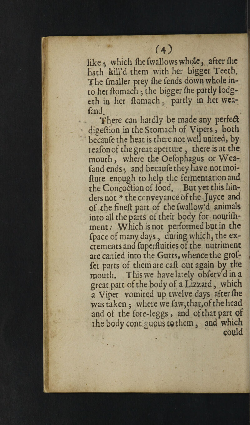 . ; O) like-, which fhefwallows whole, after (he hath kill’d them with her bigger Teeth. The fmaller prey flie fends down whole in¬ to her ftomach ; the bigger fhe partly lodg- eth in her ftomach, partly in her wea- fand. There can hardly be made any perfe& digeftion in the Stomach of Vipers, both becaufe the heat is there not well united, by reafon of the great aperture, there is at the mouth, where the Oefophagus or Wea- fand ends -, and bccaufe they have not moi- fture enough to help the fermentation and the Concodtion of food. But yet this hin¬ ders not * the conveyance of the Juyce and of the fineft part of the fwallow’d animals into all the parts of their body for nourifh- ment.- Which is not performed but in the fpace of many days, during which, the ex¬ crements and fuperfluities of the nutriment are carried into the Gutts, whence the grof- fer parts of them are call out again by the mouth. T his we have lately obferv'd in a great part of the body of a Lizzard, which a Viper vomited up twelve days after fhe was taken ; where we faw,that,of the head and of the fore-leggs, and of that partof the body contiguous tethem, and which could