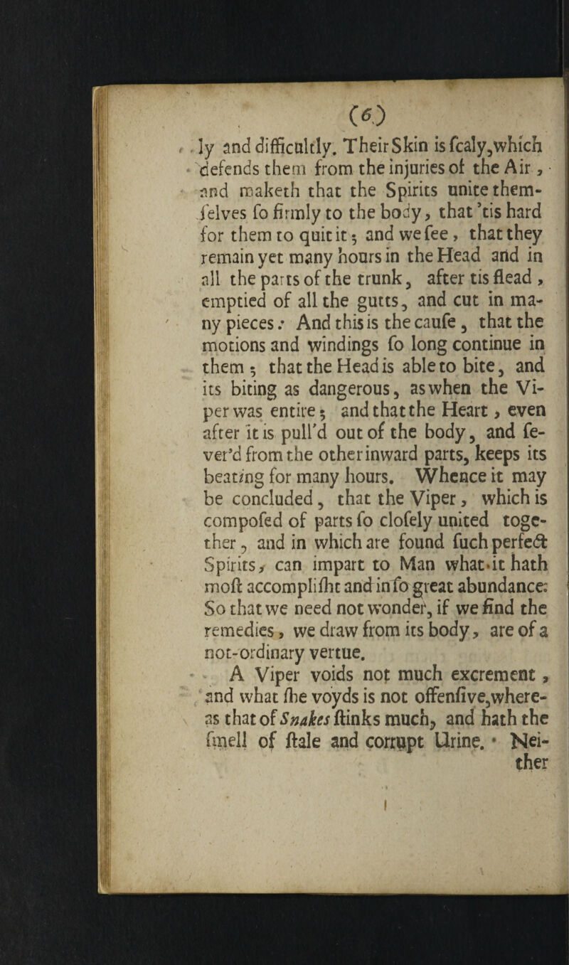 CO ! , ly and difficultly. Their Skin is fcaly,which defends them from the injuries of the Air, • snd maketh that the Spirits unite them- Selves fo firmly to the body, that 5tis hard for them to quit it 5 and we fee, that they remain yet many hours in the Head arid in all the parts of the trunk , after tis fiead > emptied of all the gutts, and cut in ma- ' ny pieces .• And this is the caufe , that the motions and windings fo long continue in them 5 that the Head is able to bite , and its biting as dangerous, as when the Vi¬ per was entire 5 and that the Heart, even after it is pull'd out of the body, and fe¬ ver’d from the other inward parts, keeps its beating for many hours. Whence it may be concluded, that the Viper > which is compofed of parts fo clofely united toge¬ ther , and in which are found fuchperfedt Spirits, can impart to Man whatdthath moft accomplifht and info great abundance: So that we need not wonder, if we find the remedies, we draw from its body, are of a not-ordinary vertue. A Viper voids nof much excrement, and what fhe voyds is not offenfive,where¬ as that of Snakes ftinks much., and hath the finell of ftale and corrupt Urine. • Nei¬ ther .. ’ * * .« y M • ' v 3 i . r