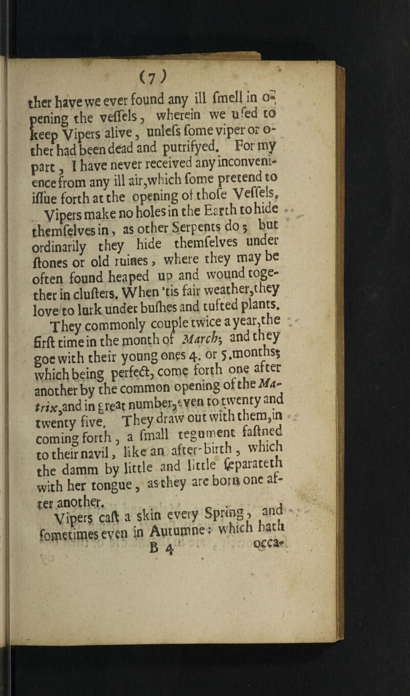 <7) ther have we ever found any ill fmell in pening the veffels, wherein we u'ed to keep Vipers alive, unlefs fome viper or o- ther had been dead and putrifyed. For my part I have never received any inconveni- encefrom any ill air,which fome pretend to ifliie forth at the opening of thofe Veffels, Vipers make no holes in the Berth to hide themfelves in, as other Serpents do-, but ordinarily they hide themfelves under ftones or old ruines, where they may be often found heaped up and wound toge¬ ther in clutters. When ’tis fair weather,they love to lurk under butties and tufted plants. They commonly couple twice a year,the firft time in the month of March and th ey goe with their young ones 4. or 5.months$ which being perfect, come forth one after another by the common opening of the Ma~ trixM freat number,even to twenty and twenty five. They draw out with them,in coming forth, a frnall tegument faftneu to their navil, like an after-birth, whic the damm by little and little fcparateth with her tongue, as they are born one af¬ ter another. ' . , Vipers call a skin every Spring, and fometimes even in Autumne: which ati ' B 4 ‘ - >• °cca*