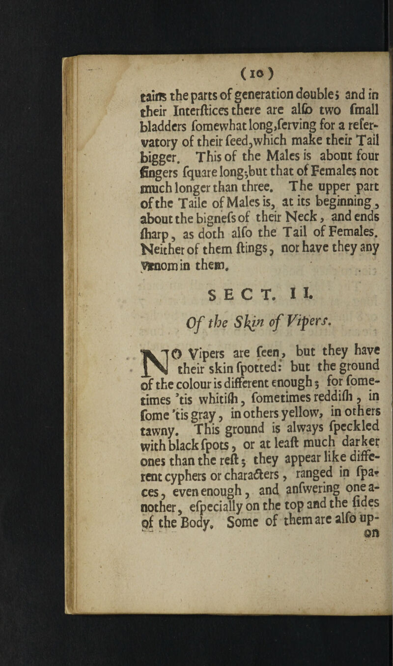 tains the parts of generation double > and in their Interftices there are alfib two fmall ; bladders fomewhat long,ferving for a refer- vatory of their feed,which make their Tail bigger. This of the Males is about four fingers fquare long-,but that of Females not much longer than three. T he upper part of the Taile of Males is, at its beginning, about the bignefs of their Neck, and ends fliarp, as doth alfo the Tail of Females. Neither of them flings, nor have they any vitnomin them. K * SECT. II. Of the Skin of Vipers. NO Vipers are feen, but they have their skin fpotted: but the ground of the colour is different enough ; for fome- times ’tis whitifh, fometimes reddifh , in fome’tis gray, in others yellow, mothers tawny. This ground is always fpeckled with black fpots, or at leaft much darker ones than the reft 5 they appear like diffe¬ rent cyphers or characters, ranged in (pa¬ ces, even enough, and anfwering onea- nother, efpecially on the top and the fides of the Body. Some of them are alfo up- ■- ■> on