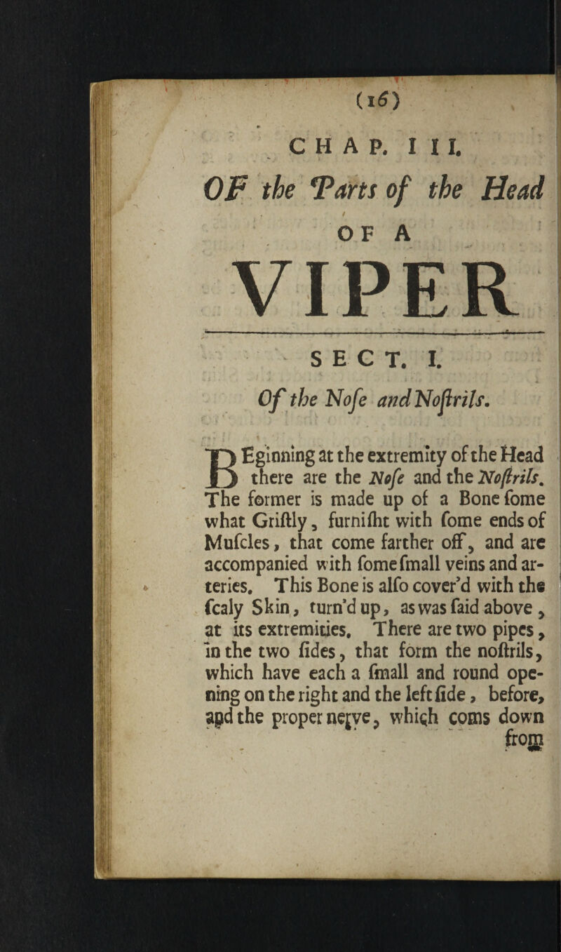 Tl” f \ ' i . (l6) ¥ , C H A P. I ï I. OF the Tarts of the Head / i * • * • OF A SECT. I. and Nofirils. BËgînning at the extremity of the Head there are the Nofe and the Nofirils. The former is made up of a Bonefome what Griftly, furnifht with fome ends of Mufdes, that come farther off, and are accompanied with fomefmall veins and ar¬ teries. This Bone is alfo cover’d with the fcaly Shin, turn’d up, as was faid above, at its extremities. There are two pipes, in the two fides, that form the noftrils, which have each a fmall and round ope¬ ning on the right and the left fide, before, apd the proper nejve, which coins down ' frogj % \ , ' < r , '