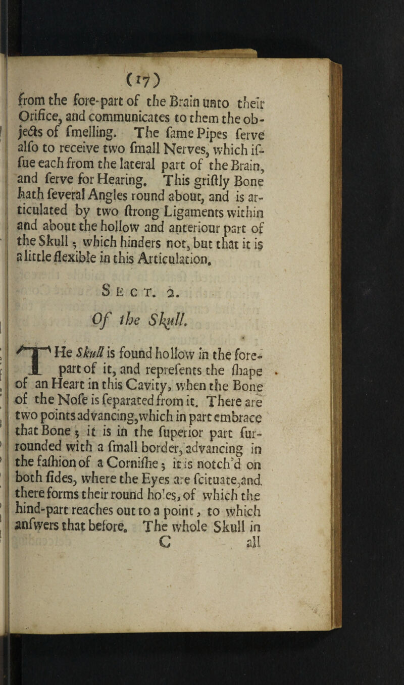 from the fore-part of the Brain unto their Orifice, and communicates to them the ob¬ jets of fmelling. The fame Pipes ferve | alfo to receive two fmall Nerves, which if- fue each from the lateral part of the Brain, and ferve for Hearing. This griftly Bone hath feveral Angles round about, and is ar¬ ticulated by two ftrong Ligaments within and about the hollow and anteriour part of the Skull • which hinders not, but that it is a little flexible in this Articulation, Sect. 2. Of the Skill. If • ■? “ ' . . He Skull is found hollow in the fore** 1 part of it, and represents the fhape of an Heart in this Cavity, when the Bone of the Nofe is feparated from it. There are two points ad vancingjwhich in part embrace that Bone 5 it is in the fuperior part fur- rounded with a fmall border., advancing in I thefafhionof aCornifhe$ it is notch’d on both fides, where the Eyes are fcituate,and, there forms their round ho’es, of which the hind-part reaches out to a point, to which anfwers that before. The whole Skull in c