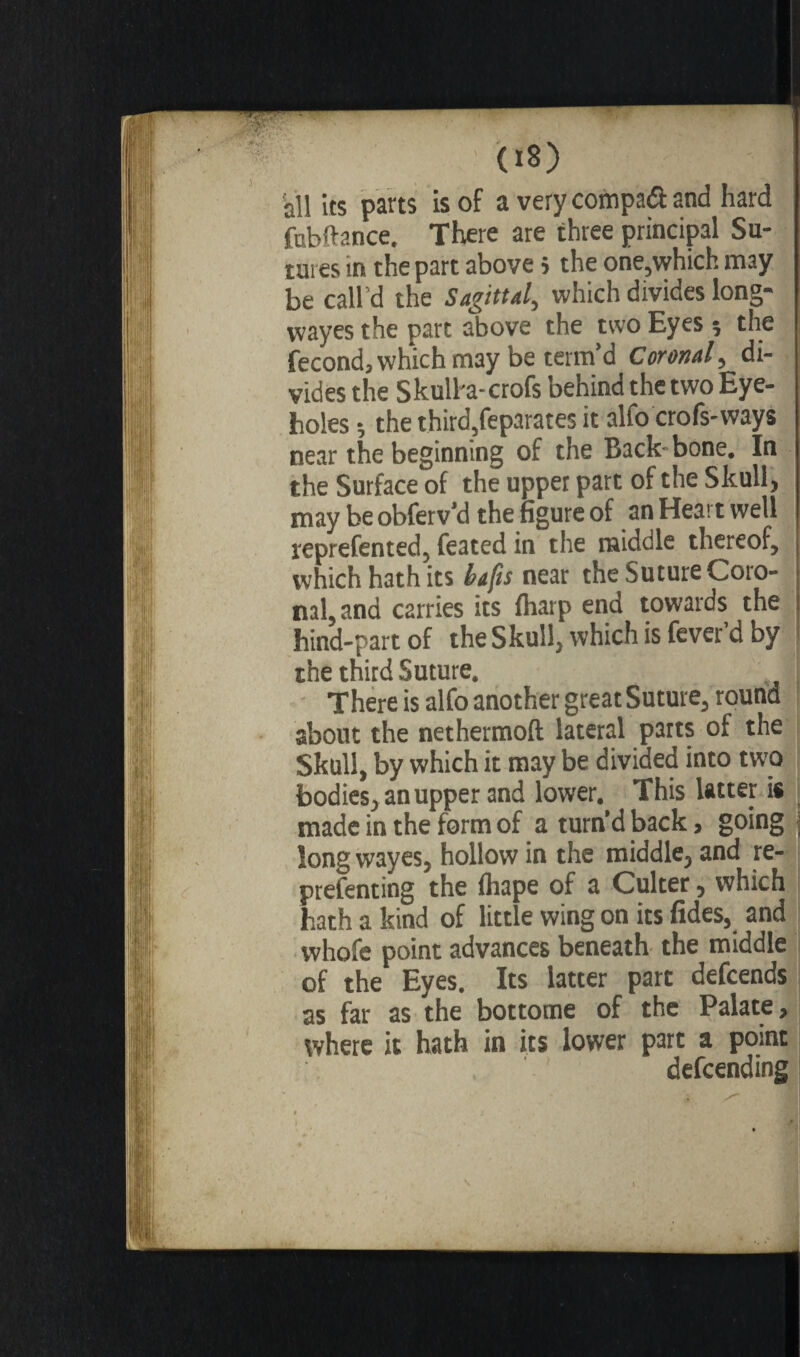 ' OS) all its parts is of a very compact and hard fnbftance. There are three principal Su¬ tures in the part above j the one,which may be call’d the Sagittal, which divides long- vvayes the part above the two Eyes 5 the fécond, which may be term’d Coronal, di¬ vides the Skulha-crofs behind the two Eye¬ holes -, the third,feparates it alfo crofs-ways near the beginning of the Back- bone. In the Surface of the upper part of the Skull, may be obferv’d the figure of an Heart well represented, feated in the middle thereof, which hath its bafts near the Suture Coro¬ nal, and carries its fharp end towards the hind-part of the Skull, which is fever’d by the third Suture. There is alfo another great Suture, round about the nethermoft lateral parts of the Skull, by which it may be divided into two bodies, an upper and lower. This latter is made in the form of a turn’d back, going \ long wayes, hollow in the middle, and re- prefenting the fhape of a Culter, which hath a kind of little wing on its fides, and whofe point advances beneath the middle of the Eyes. Its latter part defcends as far as the bottome of the Palate, where it hath in its lower part a point defending
