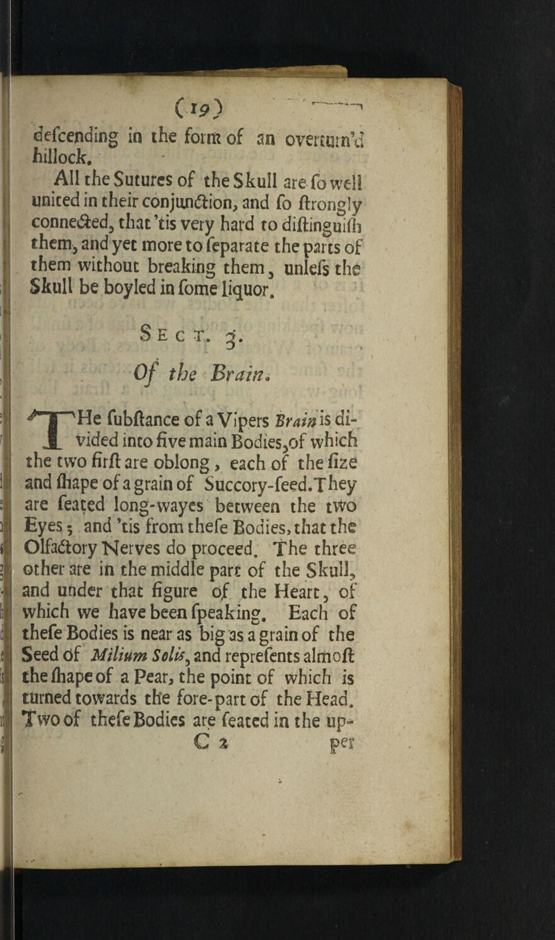 r— '—••H-' (ip) defending in the form of an overturn’d hillock. All the Sutures of the Skull are fo well united in their conjunction, and fo ftrongly connected, that ’tis very hard to diftinguifb them, and yet more to feparate the parts of them without breaking them, unlefs the Skull be boyled in fome liquor. Sec t. g. Of the Brain. ‘*~jTy He fubftance of a Vipers Brain is di- Jt vided into five main Bodies,of which the two firft are oblong, each of the fize and flrape of a grain of Succory-feed.They are feated long-wayes between the two Eyes 5 and ’tis from thefe Bodies, that the Olfactory Nerves do proceed. The three other are in the middle part of the Skull, and under that figure of the Heart, of which we have been fpeaking. Each of thefe Bodies is near as big as a grain of the Seed of Milium Solis, and reprefents almoft the fliape of a Pear, the point of which is turned towards the fore-part of the Head. Two of thefe Bodies are feated in the up- C % pet t