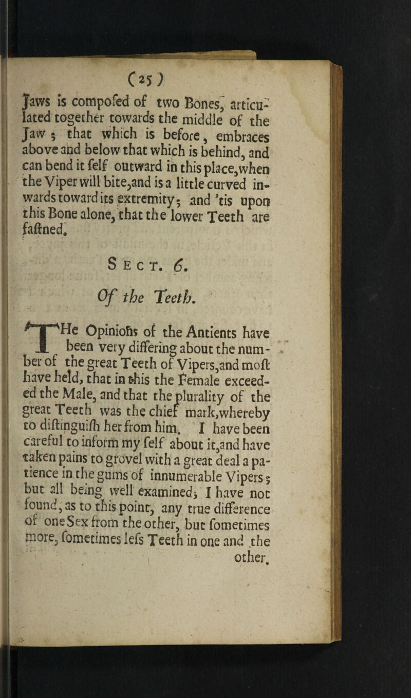 05) Jaws is compofed of two Bones, articu¬ lated together towards the middle of the Jaw 5 that which is before, embraces above and below that which is behind, and can bend it felf outward in this place,when the Viper will bite,and is a little curved in¬ wards toward its extremity- and’tis upon this Bone alone, that the lower Teeth are faftned. Sect. 6. Of the Teeth. THe Opiniofis of the Antients have been very differing about the num¬ ber of the great Teeth of Vipers,and moft have held, that in this the Female exceed¬ ed the Male, and that the plurality of the great Teeth was the chief mark,whereby to diftinguifh her from him. I have been careful to inform my felf about it,and have taken [rains to grovel with a great deal a pa¬ tience in the gums of innumerable Vipers s but all being well examinedj I have not found, as to this point, any true difference of oneSex from the other, butfometimes more, fometrmes lefs Teeth in one and the other.