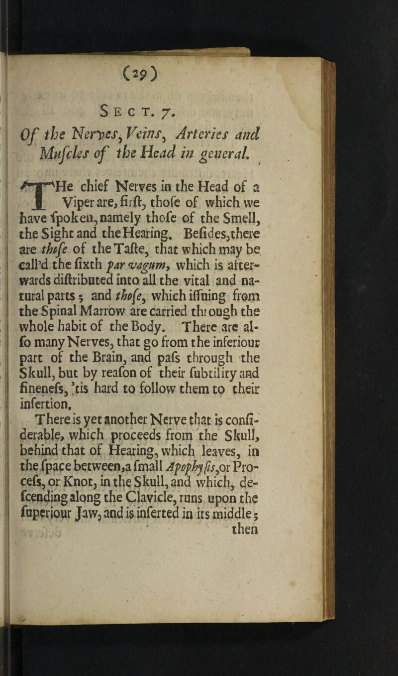 (2?) S E C T. 7. Of the Neryes, Veins, Arteries and Mufcles of the Head in general. He chief Nerves in the Head of a 1 Viper are, fir ft, thofe of which we have fpoken, namely thofe of the Smell, the Sight and theHearing. Befides,there are thofe of theTafte, that which may be call’d the fixth far vagum, which is after¬ wards diftributed into all the vital and na¬ tural parts ; and thofe, which iffuing from the Spinal Marrow are carried through the whole habit of the Body. There are al- fo many Nerves, that go from the inferious part of the Brain, and pafs through -the Skull, but by reafon of their fubtility ansd finenefs, 5tis hard to follow them to their infertion, There is yet another Nerve that is confi- derable, which proceeds from the Skull, behind that of Hearing, which leaves, in the fpace between,a fmall Apophyfts, or Pro- cefs, or Knot, in the Skull, and which, de- fcending along the Clavicle, runs upon the fuperiour Jaw, and is inferted in its middle ; then