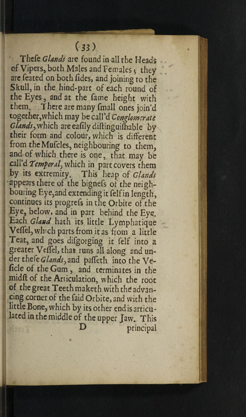 Tliefe Glands are found in all the Heads of Vipers, both Males and Females 5 they are feated on both fides, and joining to the Skull, in the hind-part of each round of the Eyes, and at the fame height with them. There are many fmall ones join’d together,which may be call’d Conglomerate Glands, which areeafily diftinguifhable by their form and colour, which is different from the Mufcles, neighbouring to them, and of which there is one, that may be call d Temporal, which in part covers them by its extremity. This heap of Glands appears there of the bignefs of the neigh¬ bouring Eye,and extending it felf in length, continues its progrefs in the Orbite of the Eye, below, and in part behind the Eye. Each Gland hath its little Lymphatique Vefïèl, which parts from it as from a little Teat, and goes difgorging it felf into a greater Veffel, that runs all along and un¬ der thefe<î/Wr3and paflfeth intotheVe- ficle of the Gum, and terminates in the midftof the Articulation, which the root of the great Teeth maketh with the advan¬ cing corner of the faid Orbite, and with the little Bone, which by its other end is articu¬ lated in the middle of the upper Jaw. This D principal