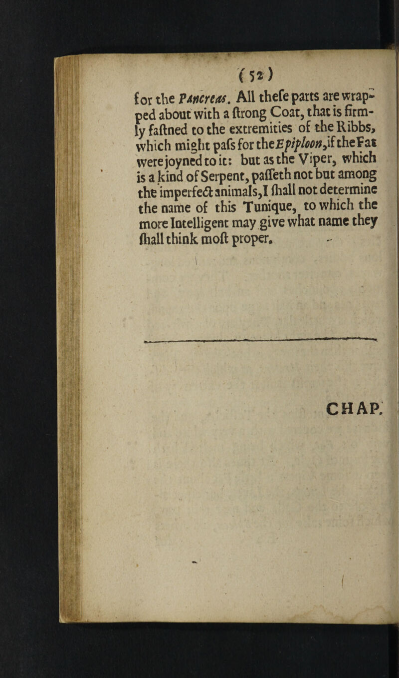 ( 5* ) for the P mre as. All thefe parts are wrap¬ ped about with a ftrong Coat, that is firm¬ ly faftned to the extremities of the Ribbs, which might pafsforthe£/v>/w»,iftheFat werejoynedtoit: but as tne Viper, which is a kind of Serpent, paffeth not but among the imperfedt animals,I {hall not determine the name of this Tunique, to which the more Intelligent may give what name they lhall think moft proper. chap;
