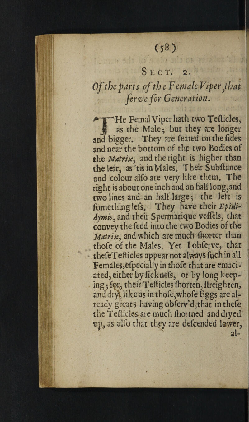 (53) Sect. o. Of the parts of the Female Viper fiat ferve for Generation. >*~T^He Femal Viper hath two Tefticles, J as the Male 5 but they are longer and bigger. They are feated onthefides and near the bottom of the two Bodies of the Matrix, and the right is higher than the left, as 'tis in Males. Their Subftance and colour alfo are very like them. The right is about one inch and an half long,and two lines and an half large ^ the left is fomething !ef$. They have their Efidi* âymis, and their Spermatique veffels, that convey the feed into the wo Bodies of the Matrix, and which are muchShorter than thofe of the Males, Yet I obferve, that thefeTefticles appear not always fuch in all Female$>efpecial!y in thofe that are emaci¬ ated, either by ficknefs, or by long keep¬ ing*, for, their Tefticles fhorten, {heighten, and dry!, like as in thofe,whofe Eggs are al¬ ready great > having obferv’d,that inthefe the Tefticles are much fhortned and dryed ujs, as alfo that they are defcended lower, al-