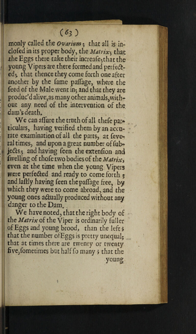 ) monly called the Ovarium ; that ali is in- dofed in its proper body, the Matrix; thac the Eggs there take their increafe;that the young Vipers are there formed and perfe&- ed^ that thence they come forth one after another by the fame pafiage, where the feed of the Male went in$ and that they are produc’d alive,as many other animals,with¬ out any need of the intervention of the dam’s death. We can afiirre the truth of all thefe par¬ ticulars, having verified them by an accu¬ rate examination of all the parts, at feve- ral times, and upon a great number of fub- jedls ; and having feen the extenfion and fwelling of thofe two bodies of the Matrix, even at the time when the young Vipers were perfected and ready to come forth ; and laftly having feen the pafiage free, by which they were to come abroad, and the young ones actually produced without any danger to the Dam. We have noted, that the right body of the Matrix of the Viper is ordinarily fuller of Eggs and young brood, than the left} that the number ofEggs is pretty unequal; that at times there are twenty or twenty five,fometimes but half fo many} th3t the young