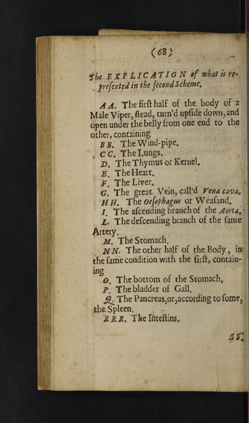 ’• * •* . (ei) The EXPLICATION of what is re- frefented in the fécond Scheme, A A. The firft half of the body of a Male Viper, flead, turn’d upfide down, and open under the belly from one end to the other, containing SB. The Wind-pipe. , CC. The Lungs. 1 D. The Thymus or Kernel. 2s. The Heart. F. The Liver. i C. The great Vein, call’d Vena cava. H H. The oefophagus or Weafand. / The afcending branch of the Aorta, £ The defending branch of the fame Artery. M. The Stomach. NN. The other half of the Body, in the fame condition with the firft, contain¬ ing O, The bottom of the Stomach. 2». The bladder of Gall. The Pancreas,or,according to forne, the Spleen. . T f &RR. Thelnteftins.