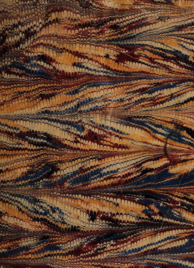 No text description is available for this image